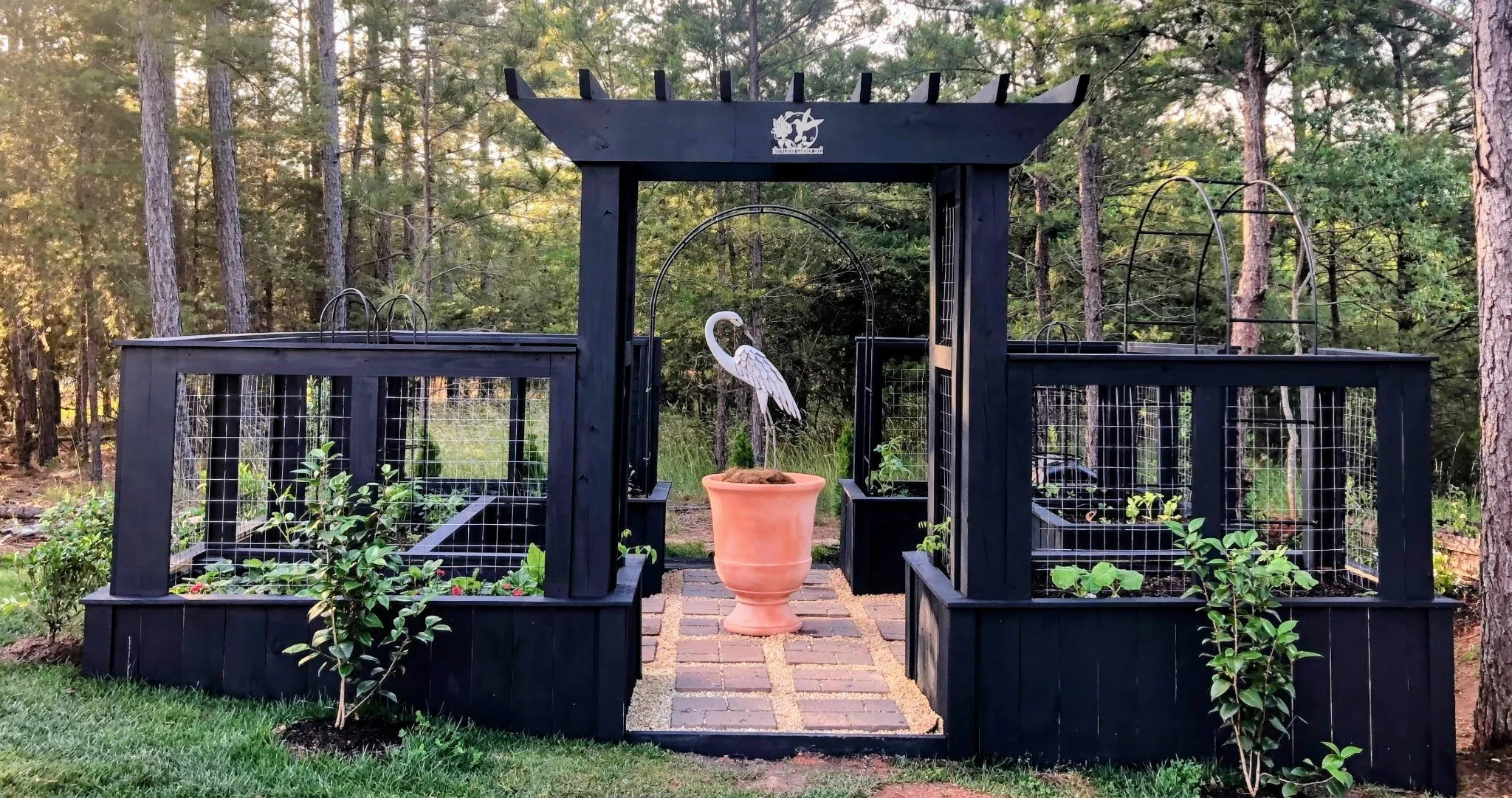 Garden Consultation & Expert Diagnosis Service