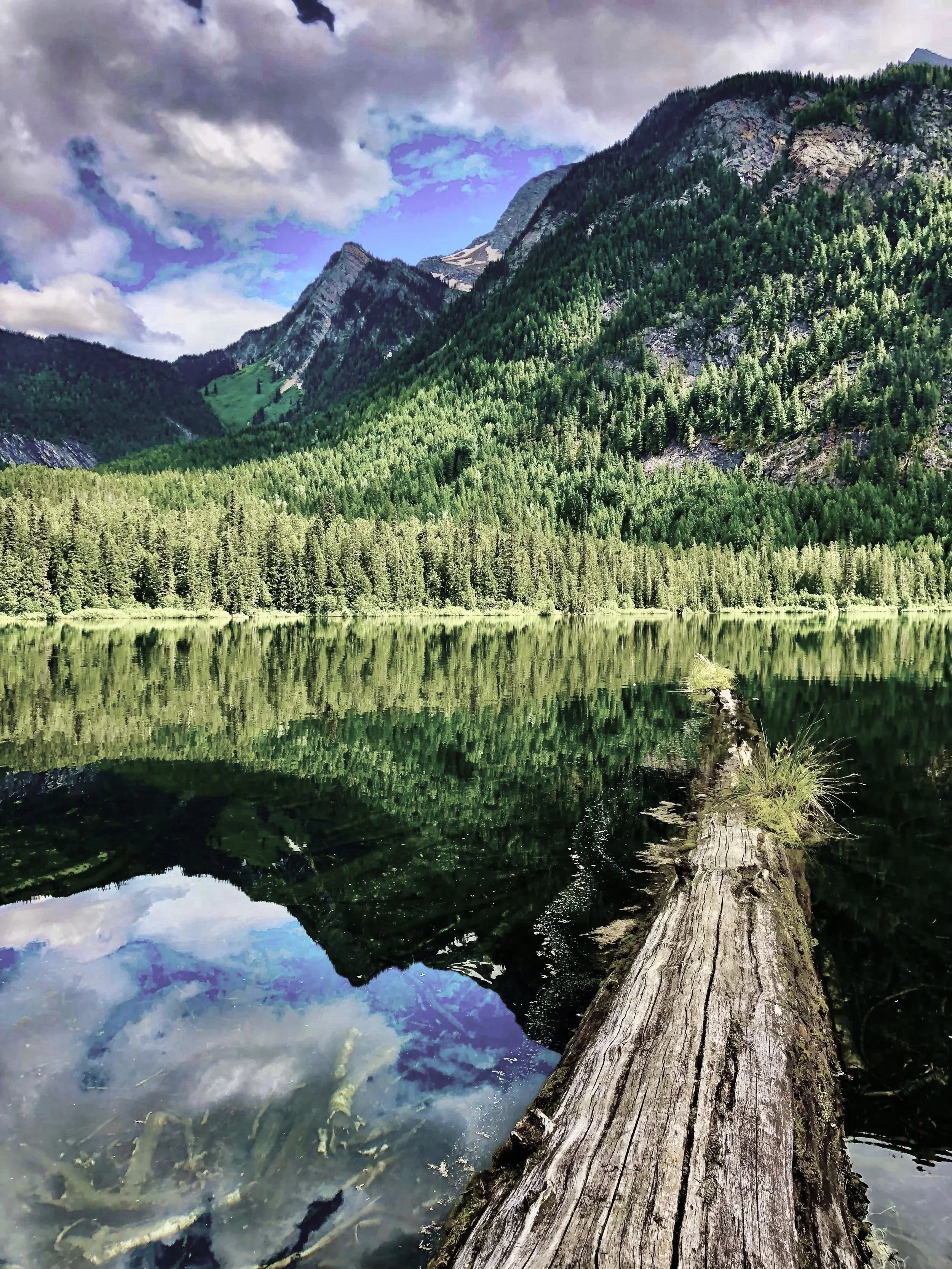 Mountain landscape with forest and lake, representing perspective and seeing the broader system.