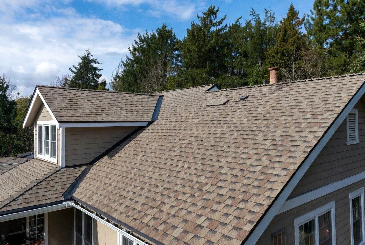View of a house's roof with brown shingles, dormer window, and chimney, surrounded by tall green trees under a blue sky with clouds.
