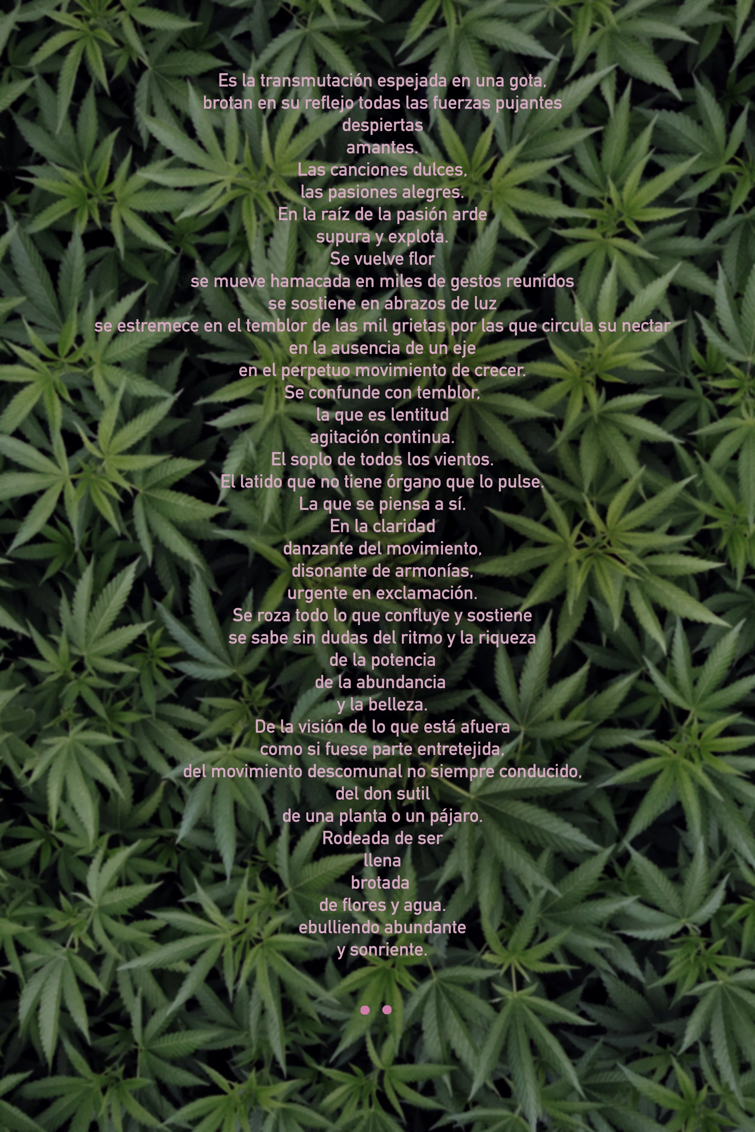 Bloom in Myself_By@emikaluna_3_espanol.jpg