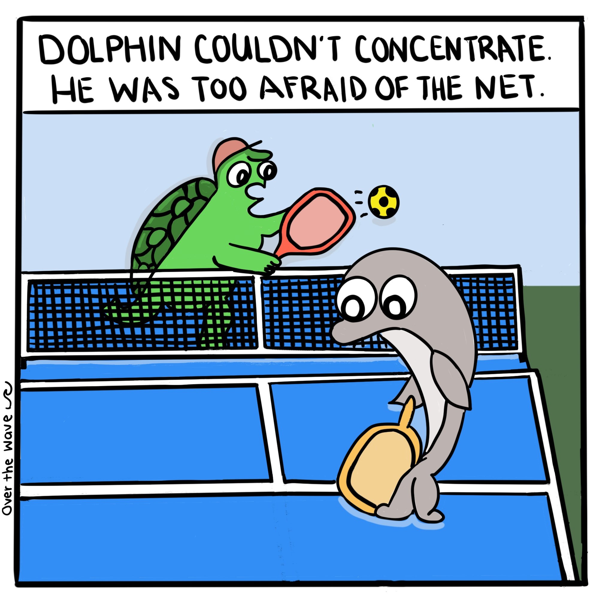 Dolphin_Net_.JPG