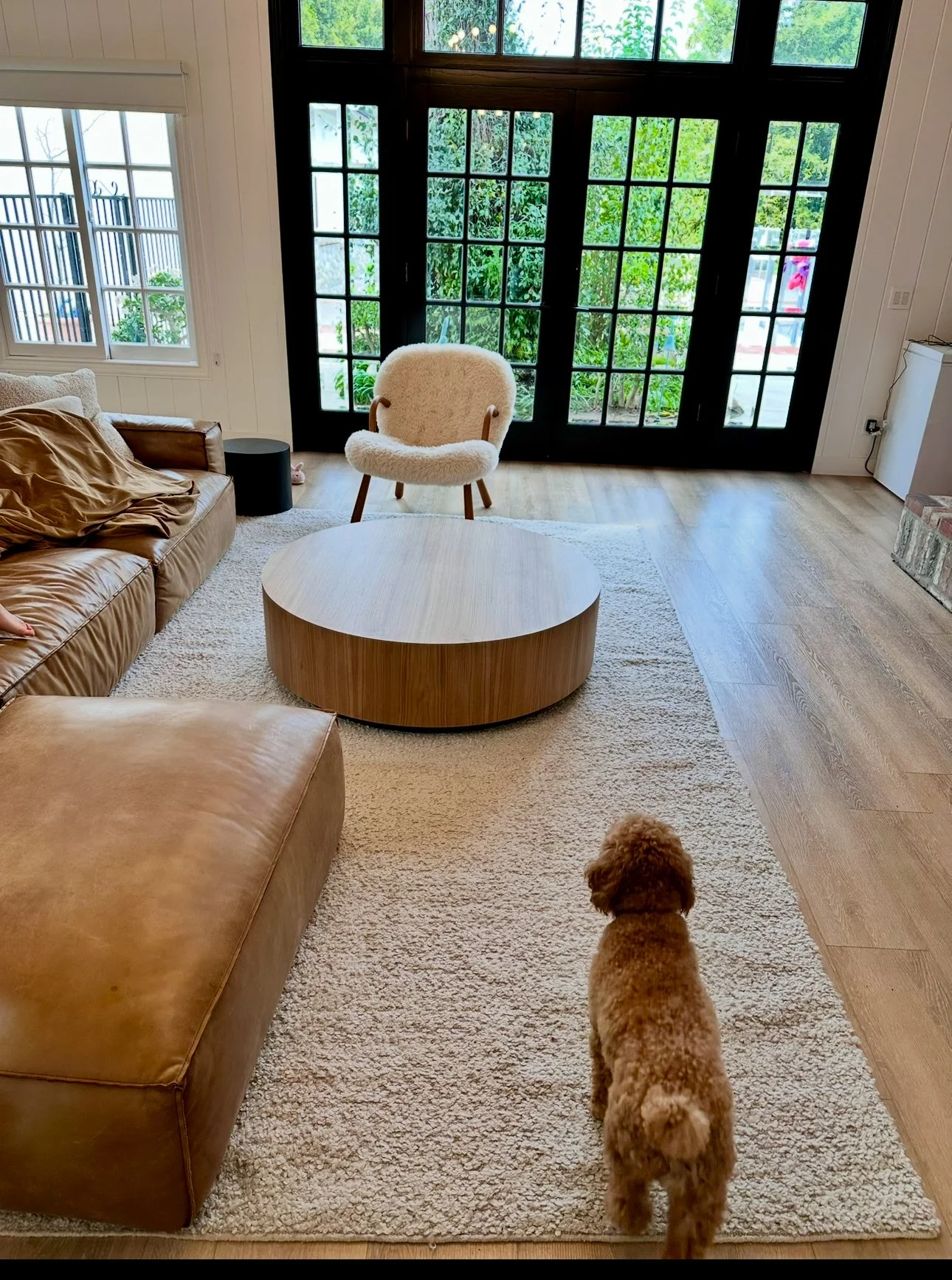 A cozy living room with a large window and black folding glass doors overlooking greenery. There is a tan leather couch on the left with throw pillows, a round wooden coffee table in the center, and a plush white armchair behind it. A small brown dog