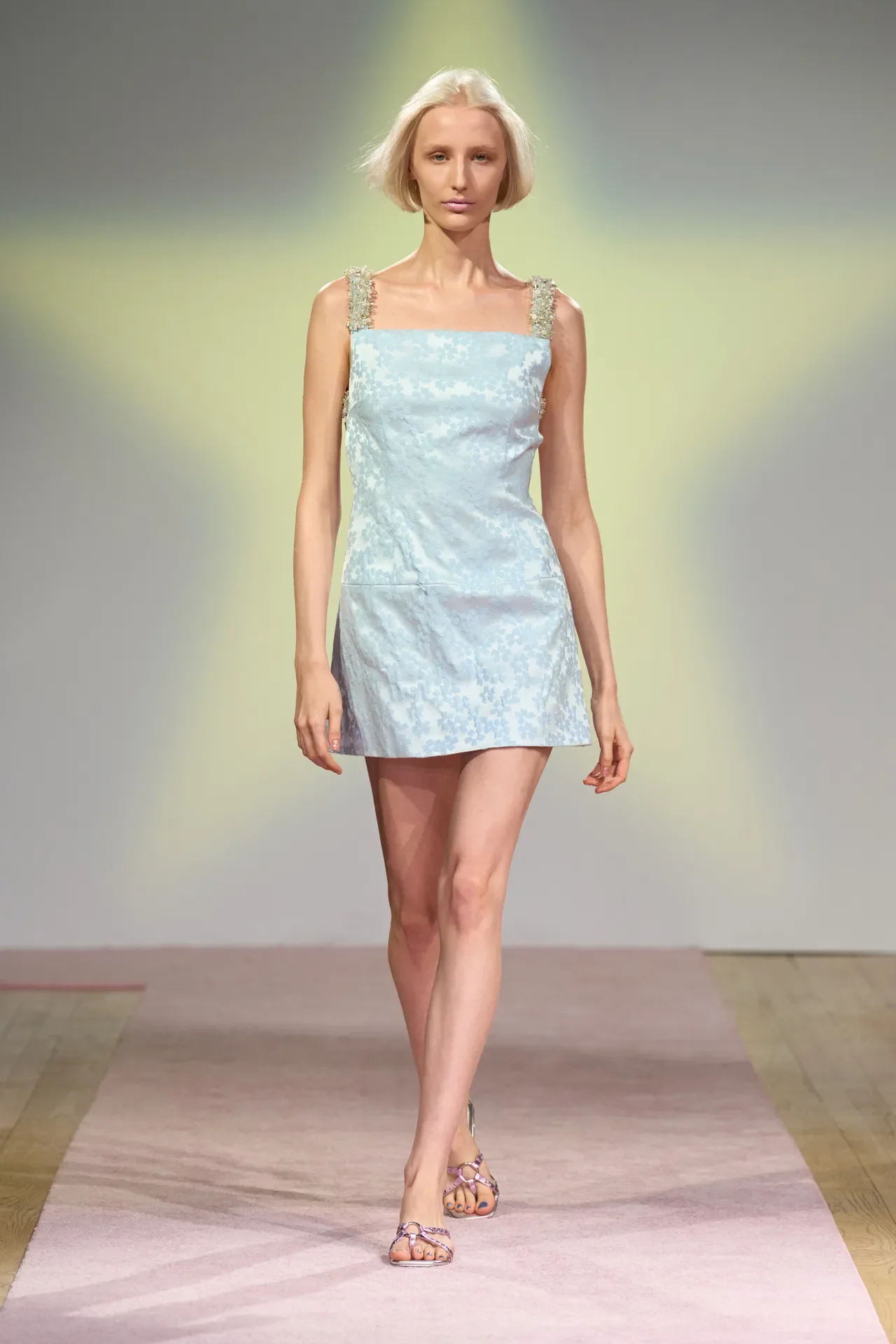 00026-sandy-liang-spring-2025-ready-to-wear-credit-gorunway.webp