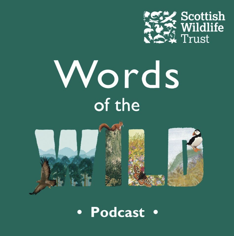 Words of the Wild
