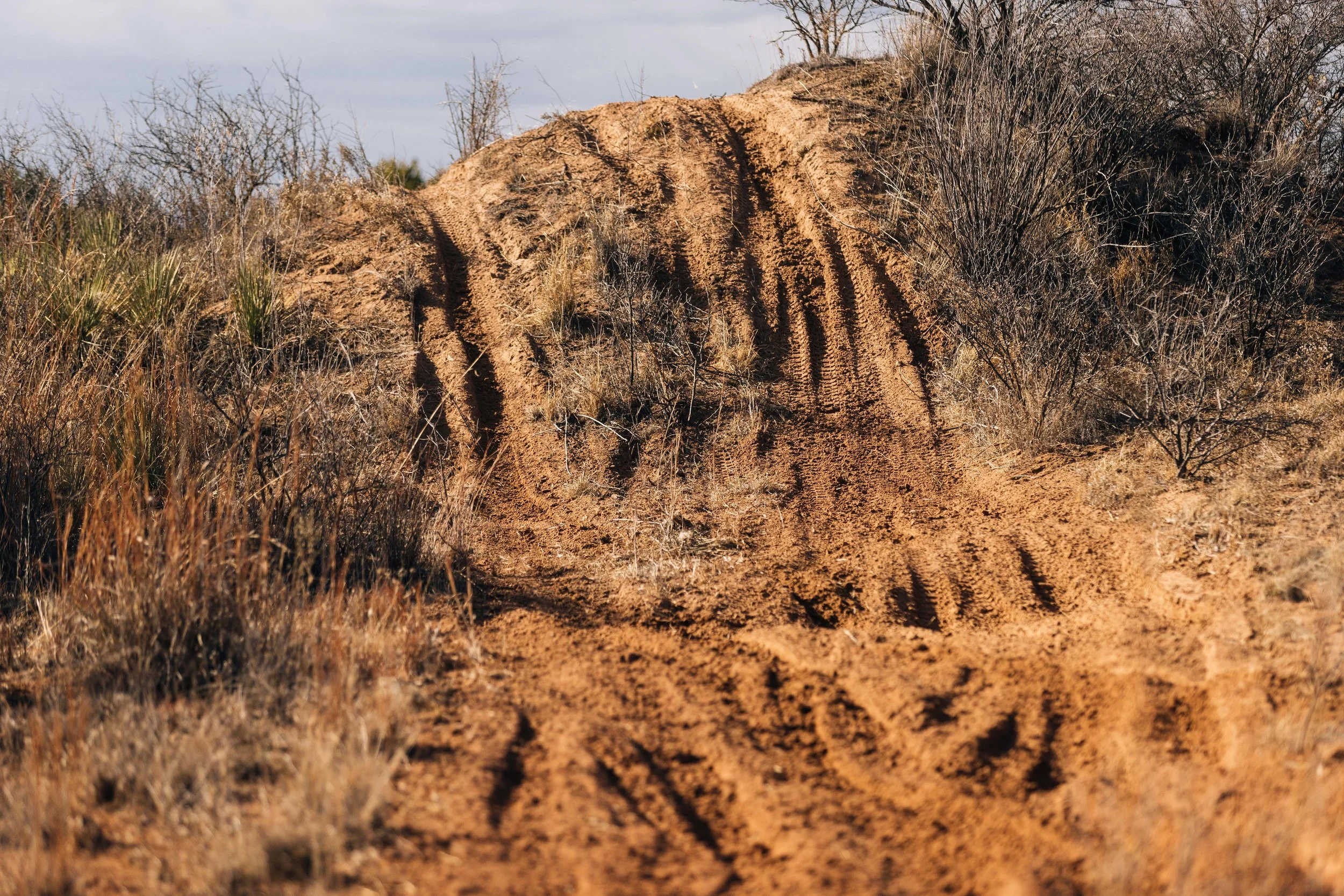 A dirt trail with tire marks runs through a dry, brushy landscape with sparse trees and bushes under an overcast sky.