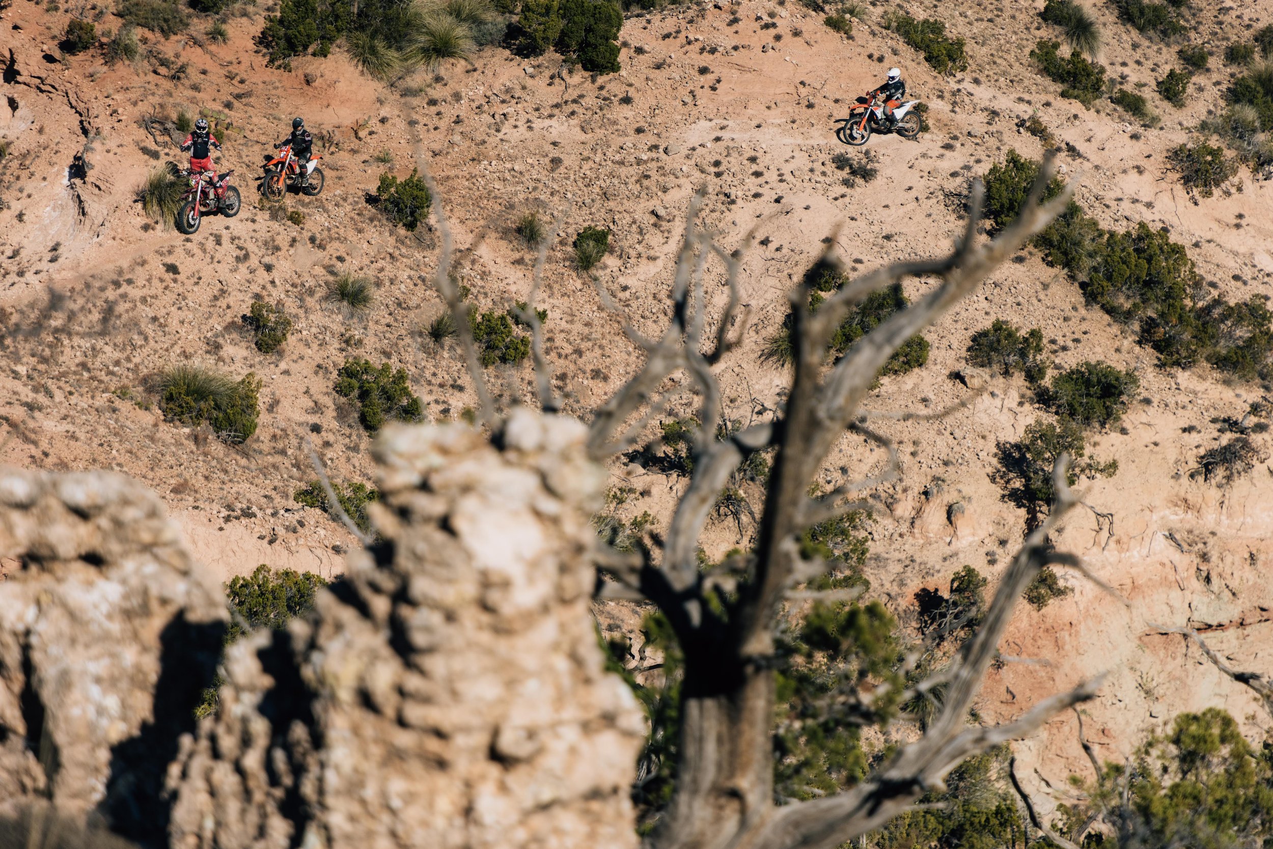 Three individuals riding dirt bikes down a dry, rocky trail in a desert landscape. The scene is viewed from above through a branch of a tree in the foreground.