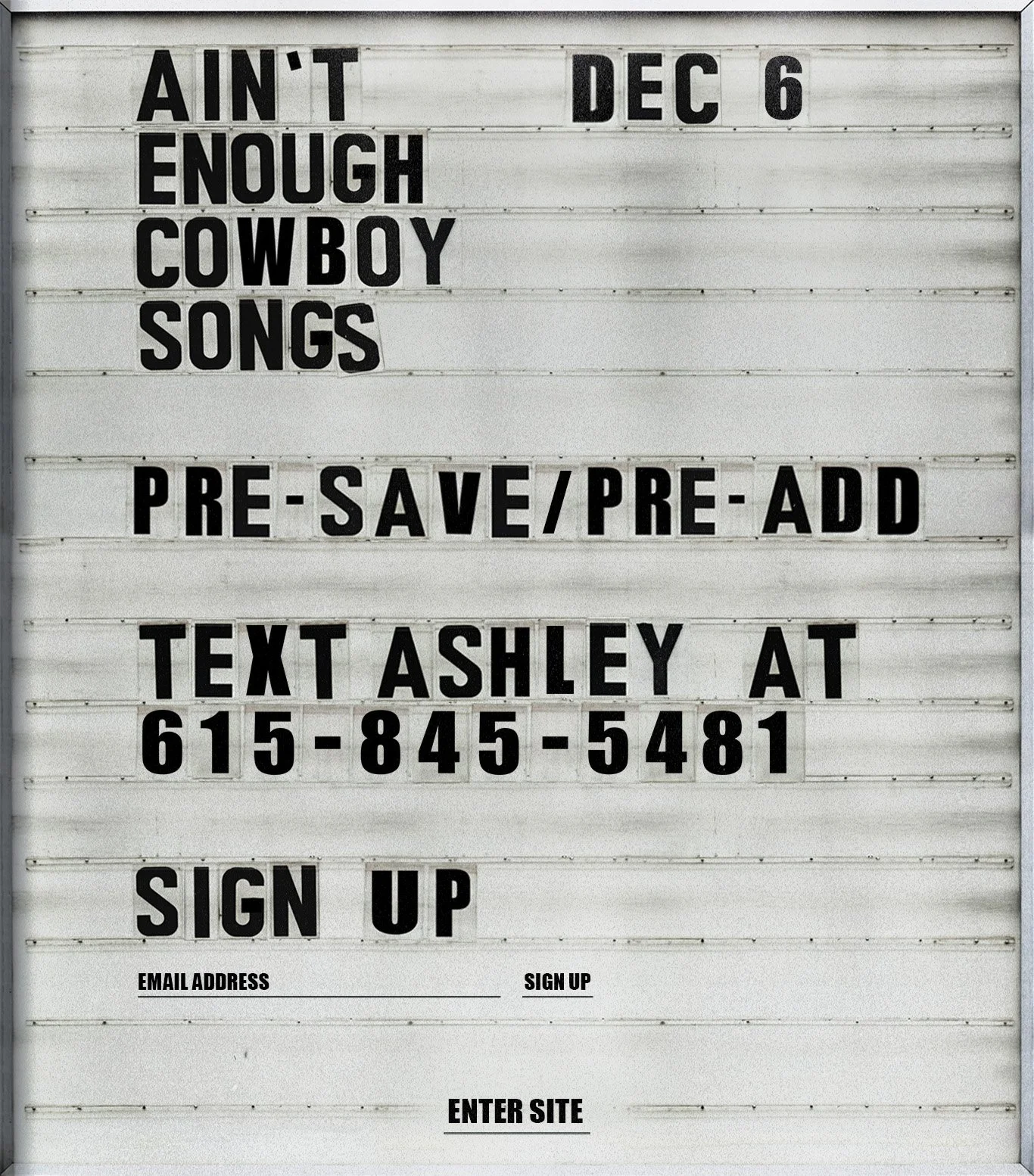 Ashley McBryde Splash Page
art direction + design