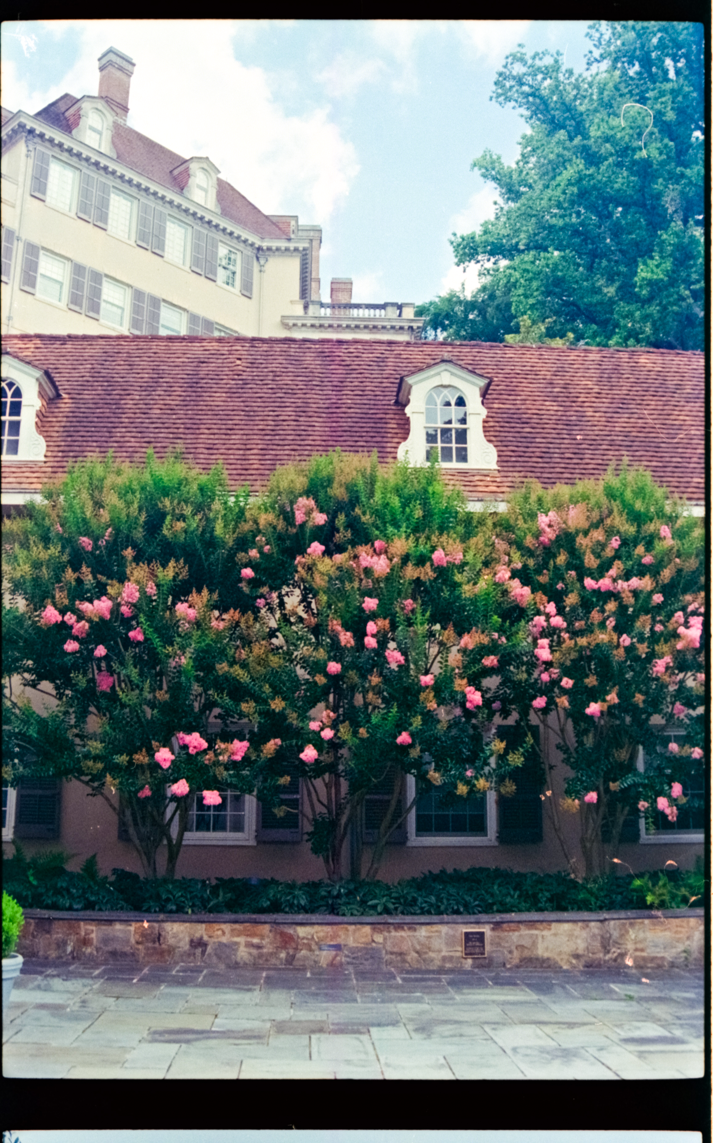 img20230918_22491470_g2p0128.png
