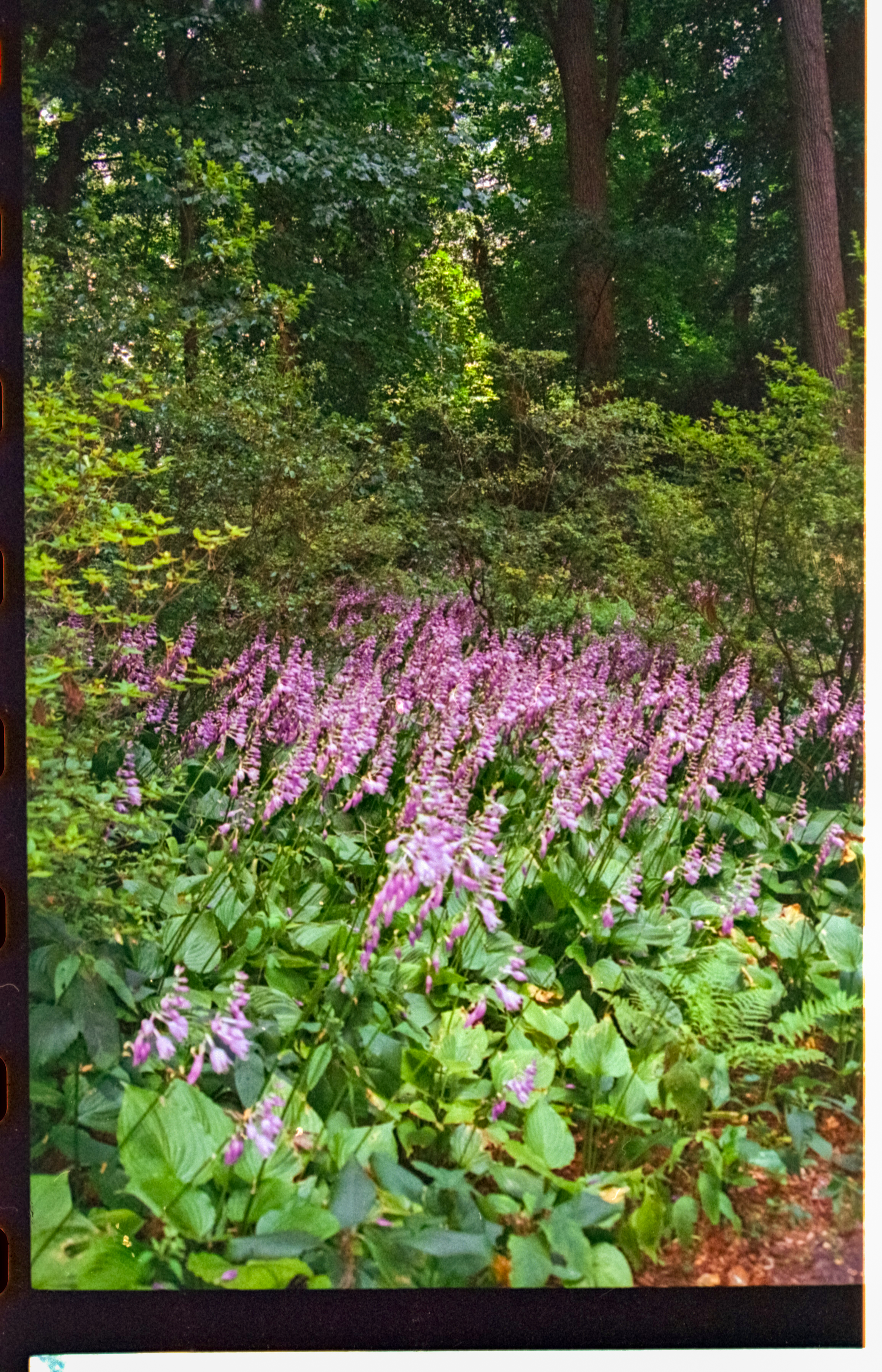 img20230918_22405295_g2p0124.png
