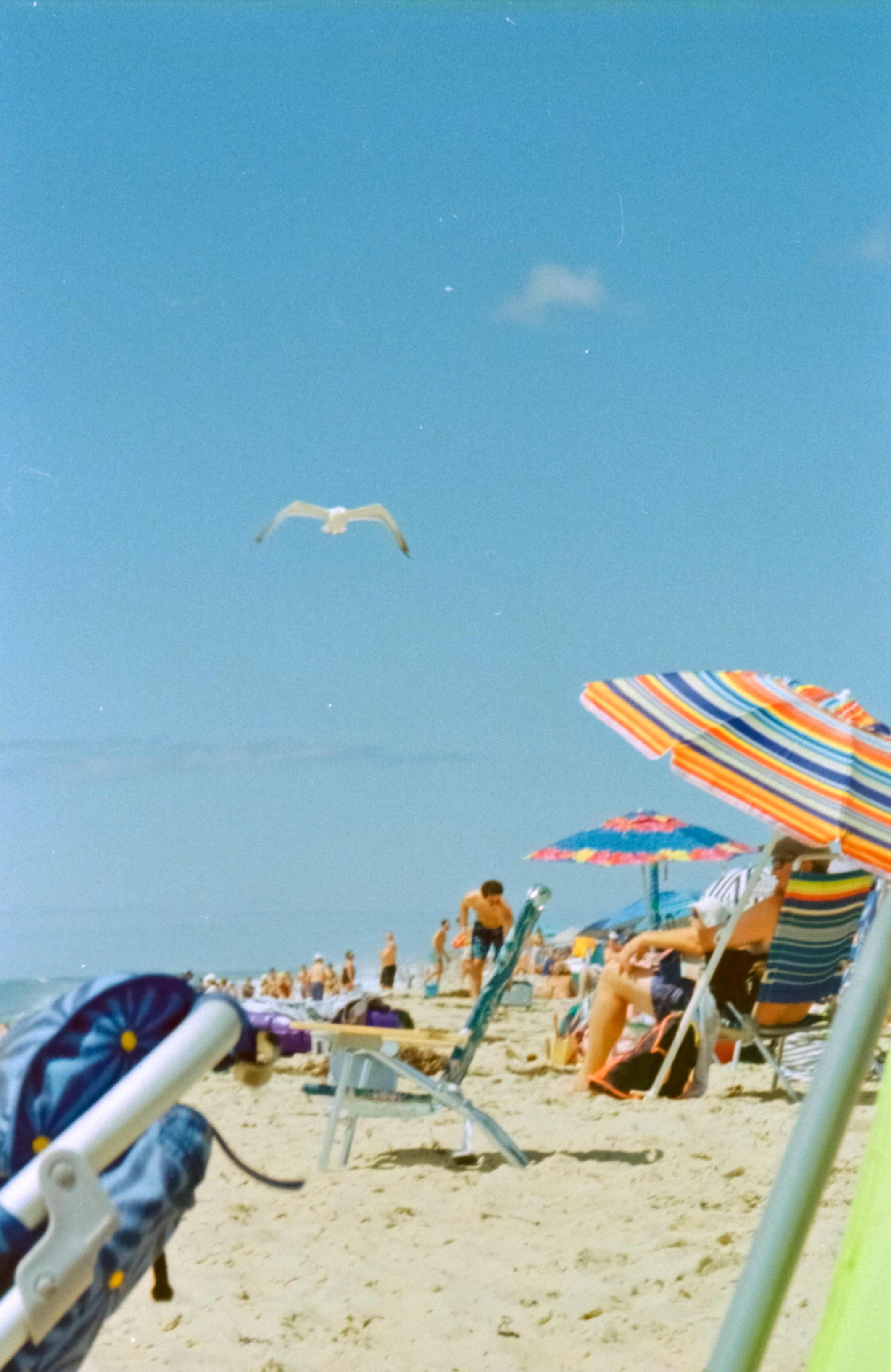 img20230918_18531449_g2p0020.png