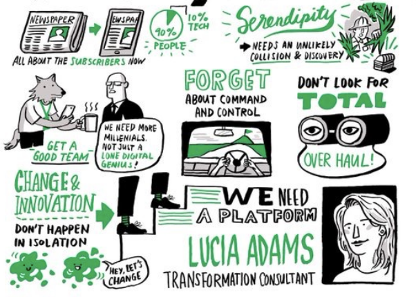 Lucia Adams Strategic Executive Leadership & Organisational Transformation