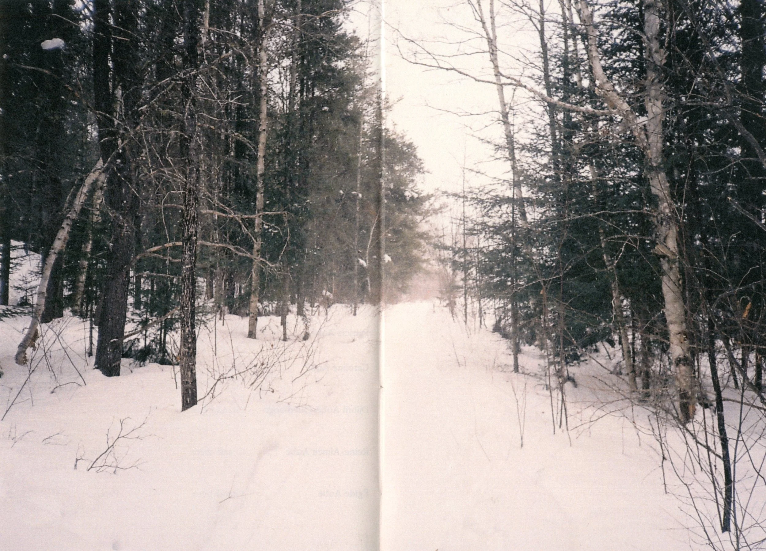 img005.jpg