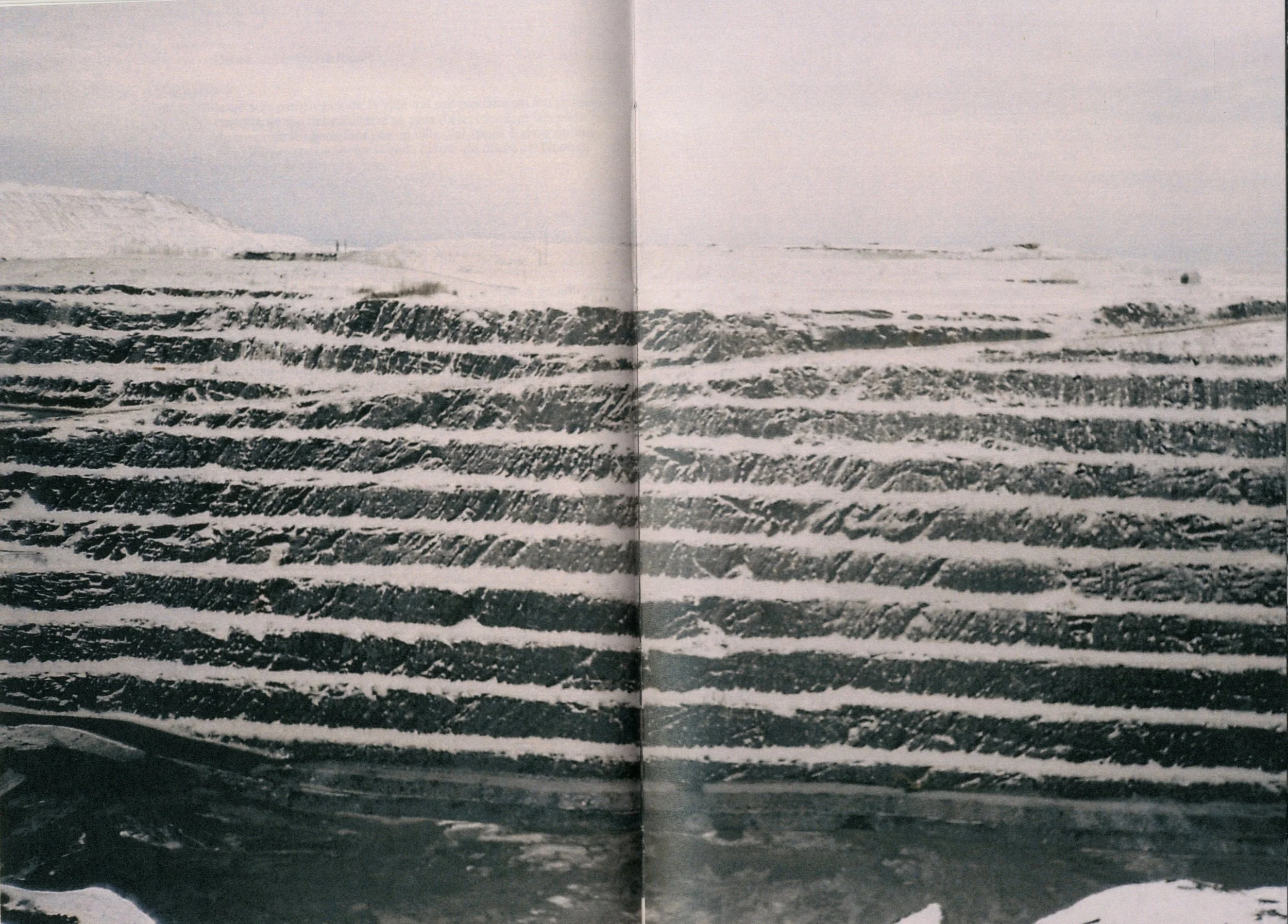img019.jpg