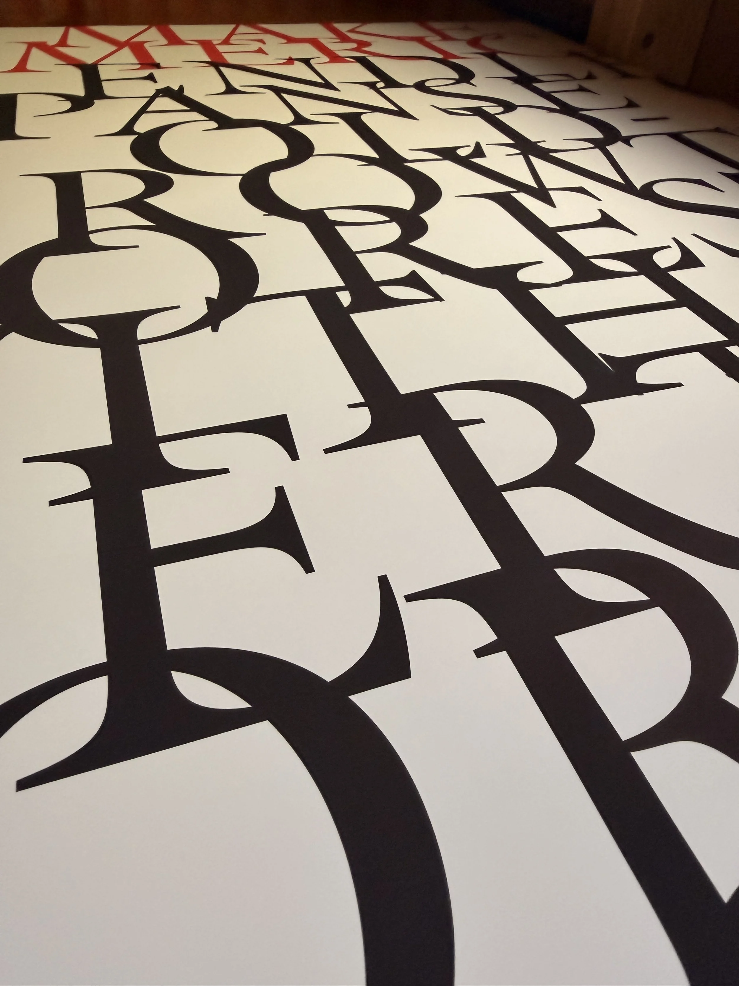 IMG_2301.jpeg