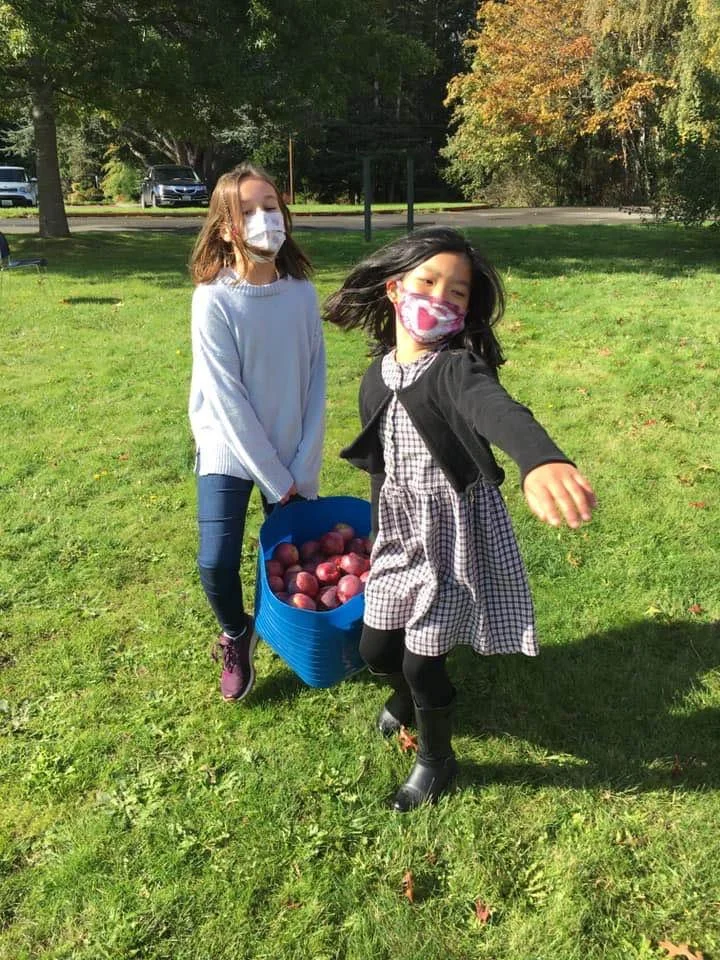 Two young girls outdoors on a grassy field, with trees in the background, carrying a blue basket filled with red apples. Both girls are wearing face masks, and one girl is about to toss an apple.
