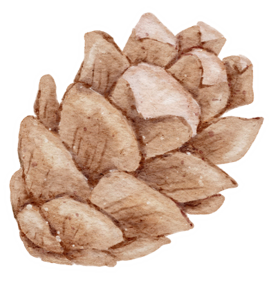 A pile of irregularly shaped, light-brown rocks or minerals.