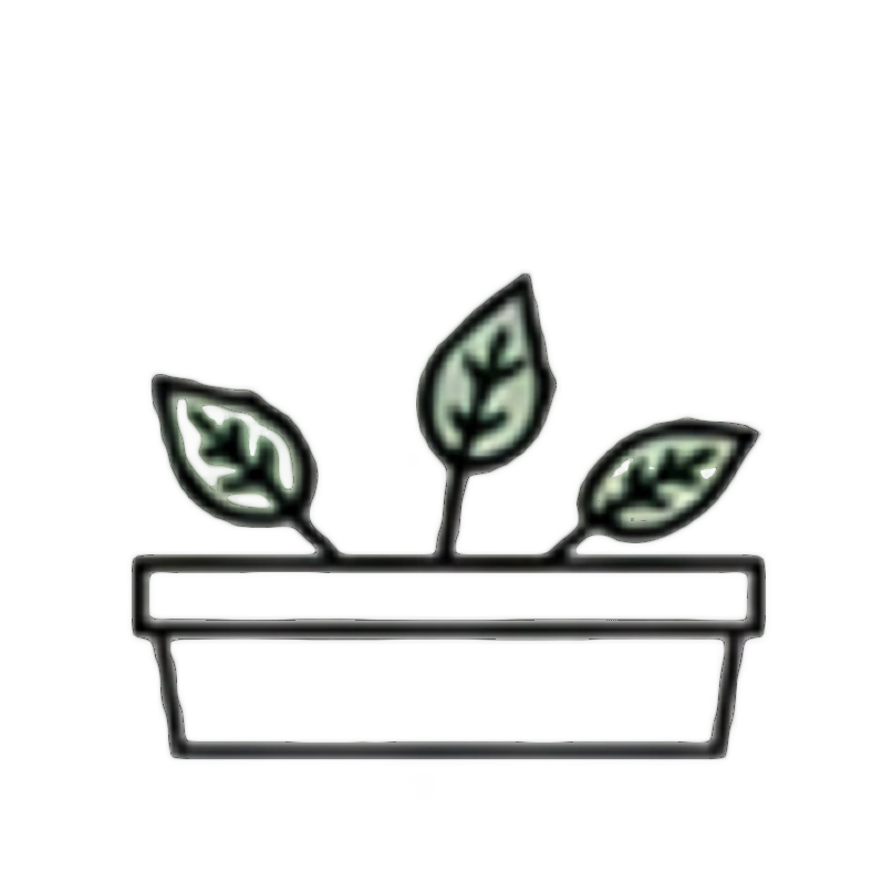 Outline drawing of a rectangular flower pot with three leaves with veined patterns.