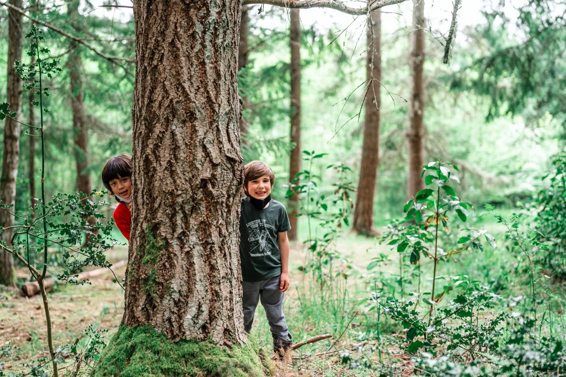 Two children, a boy and a girl, peeking from behind a large tree in a dense green forest. The girl is near the back, partially hidden, while the boy stands to the right of the tree, smiling. The forest is lush with green foliage.