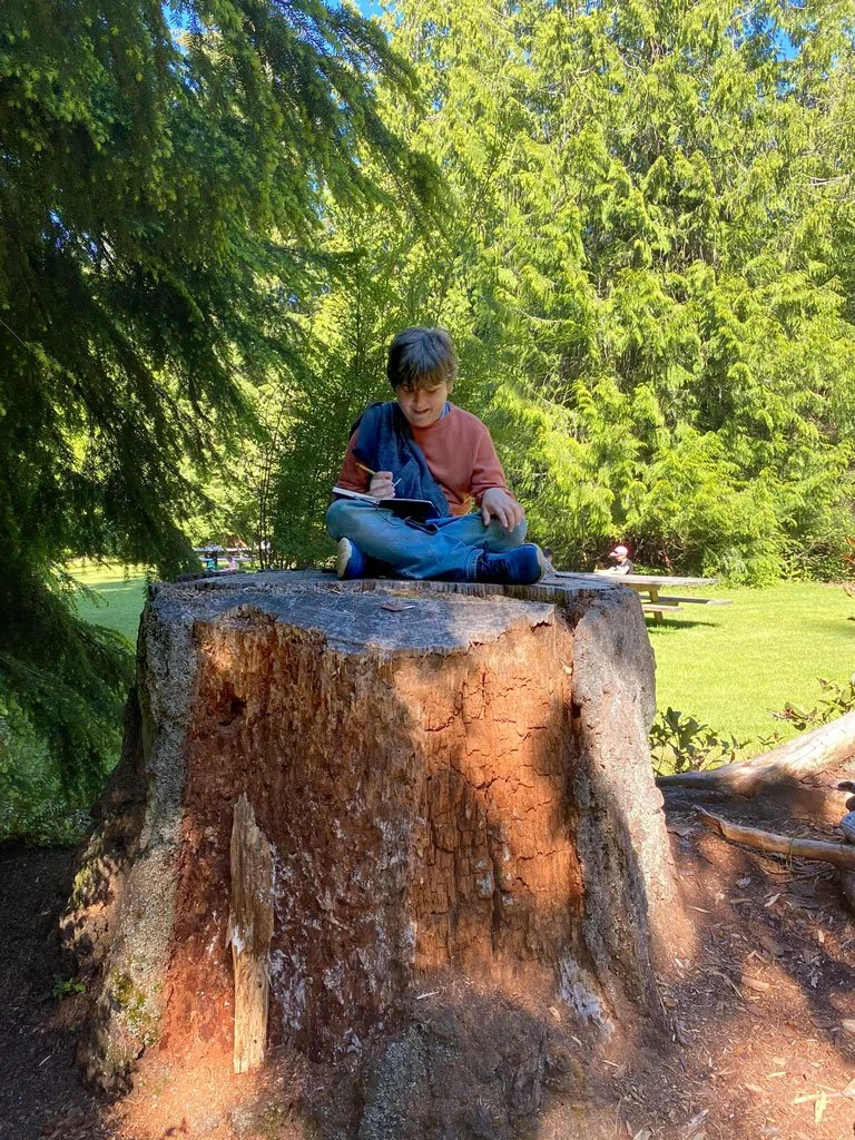 Boy sitting cross-legged on a large tree stump in a park, writing or drawing in a notebook surrounded by trees and green grass.