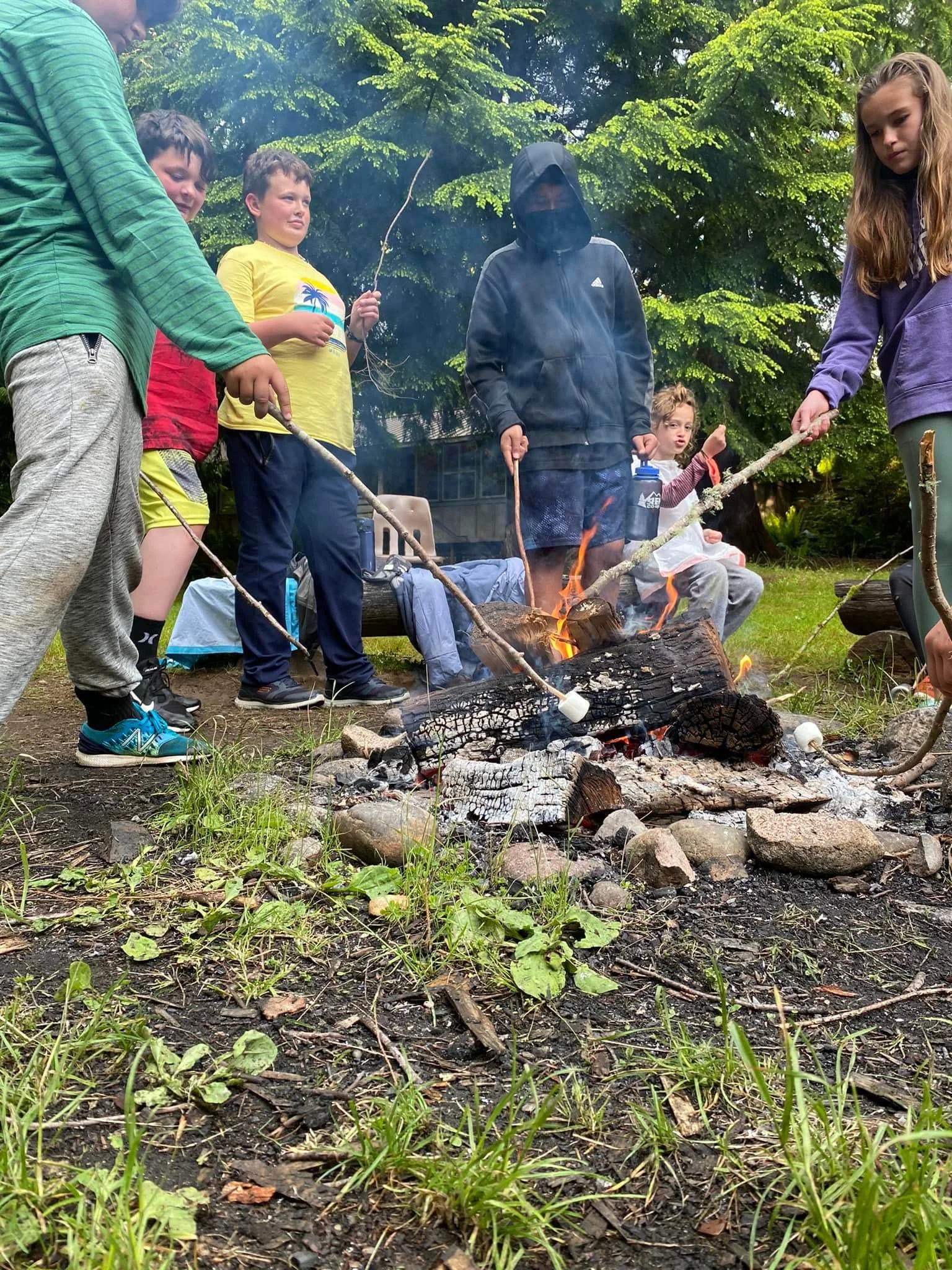 Children gathered around a campfire outdoors, roasting marshmallows on sticks, with trees and green foliage in the background.