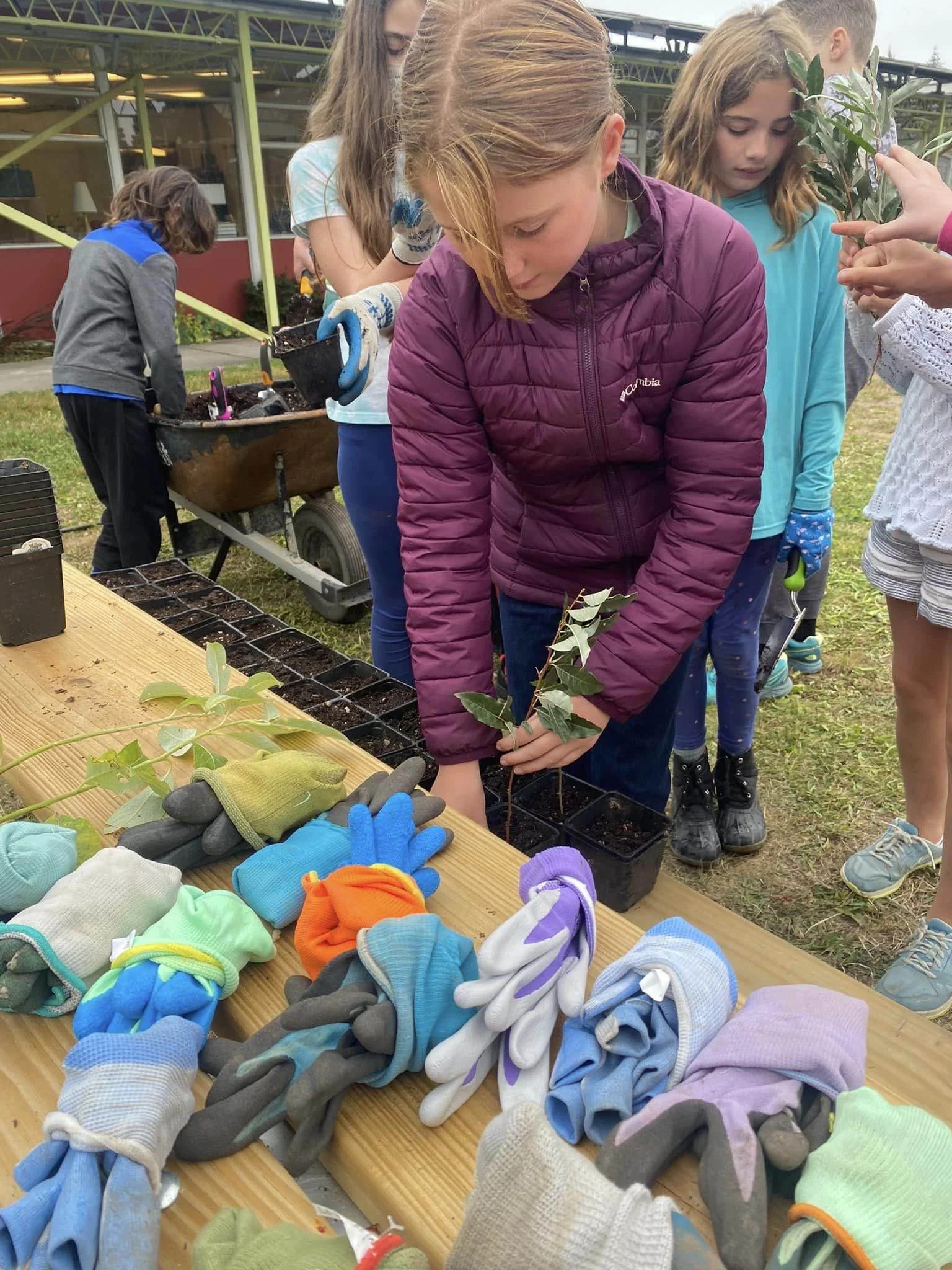 Children planting seedlings in small pots outdoors, with gardening gloves and supplies on a wooden table, background includes a building and grass.