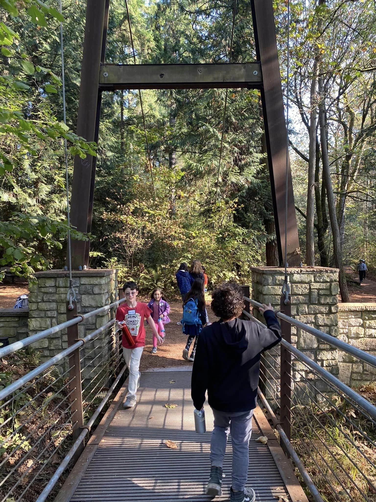 People walking across a suspension bridge in a forested area with tall trees and sunlight filtering through the leaves.