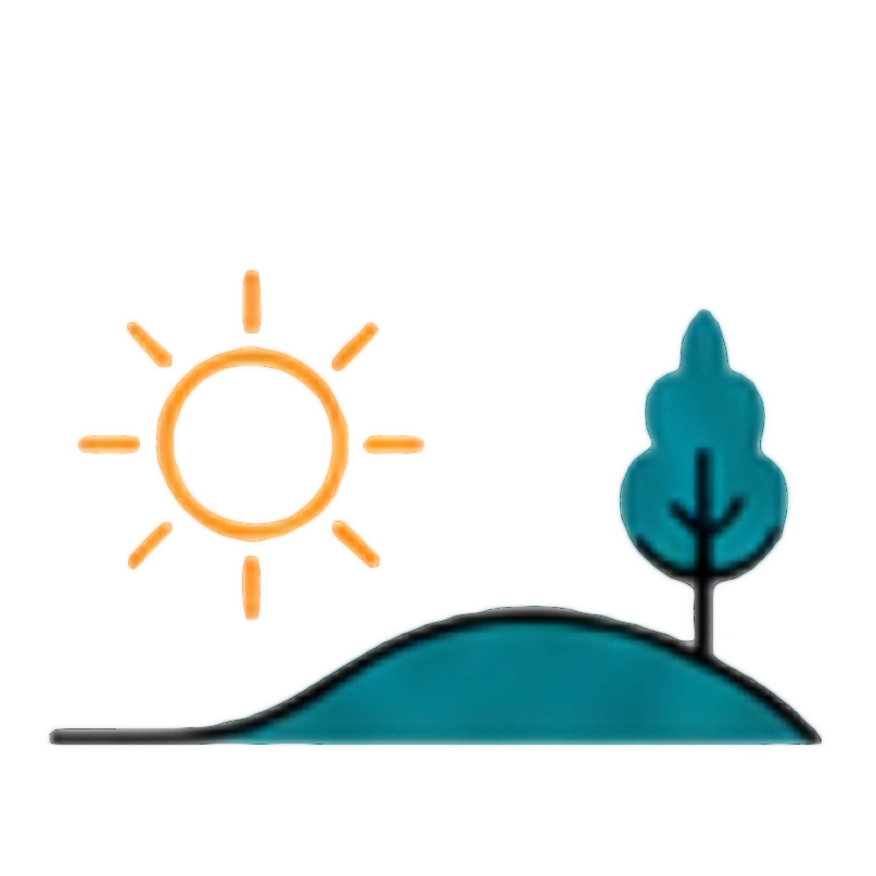 Illustration of a bright sun shining over a hill with a single blue tree on the right.