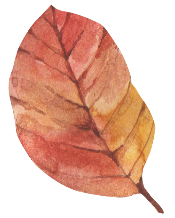 Watercolor painting of an autumn leaf with shades of red, orange, and yellow.