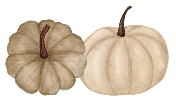 Two pumpkins, one white and one beige, with brown stems, on a white background.