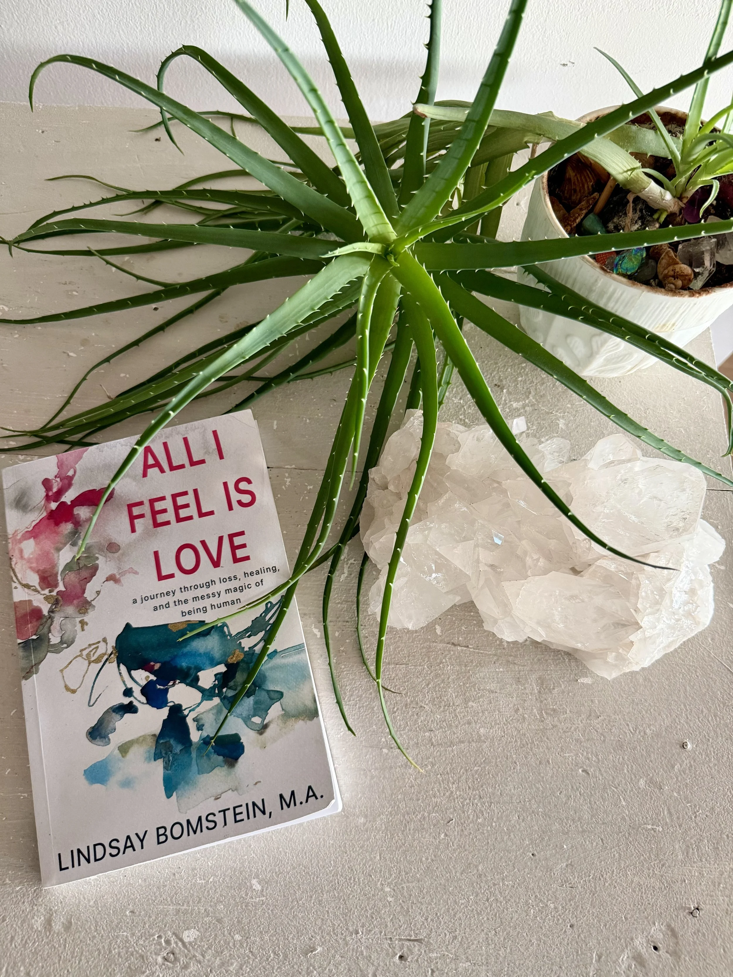 A potted aloe vera plant with long, green, spiky leaves on a light-colored surface. Next to the plant, there is a brochure with watercolor art and text about healing and love, and some clear quartz crystals.
