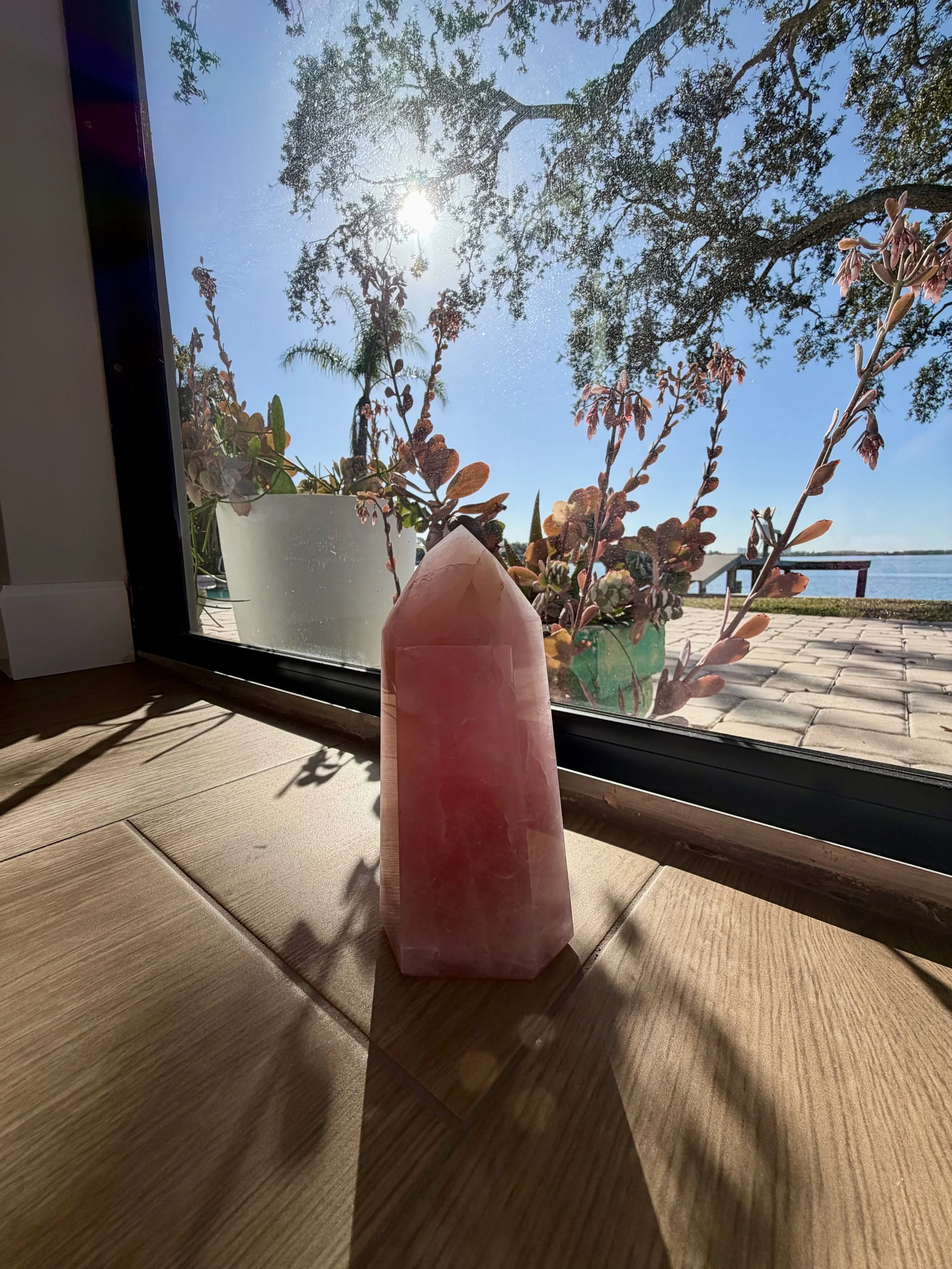 View through a window showing sunlight, trees with leaves, a clear blue sky, and a body of water in the distance. Inside, in the foreground, a pink salt crystal and potted plants are on a wooden surface.