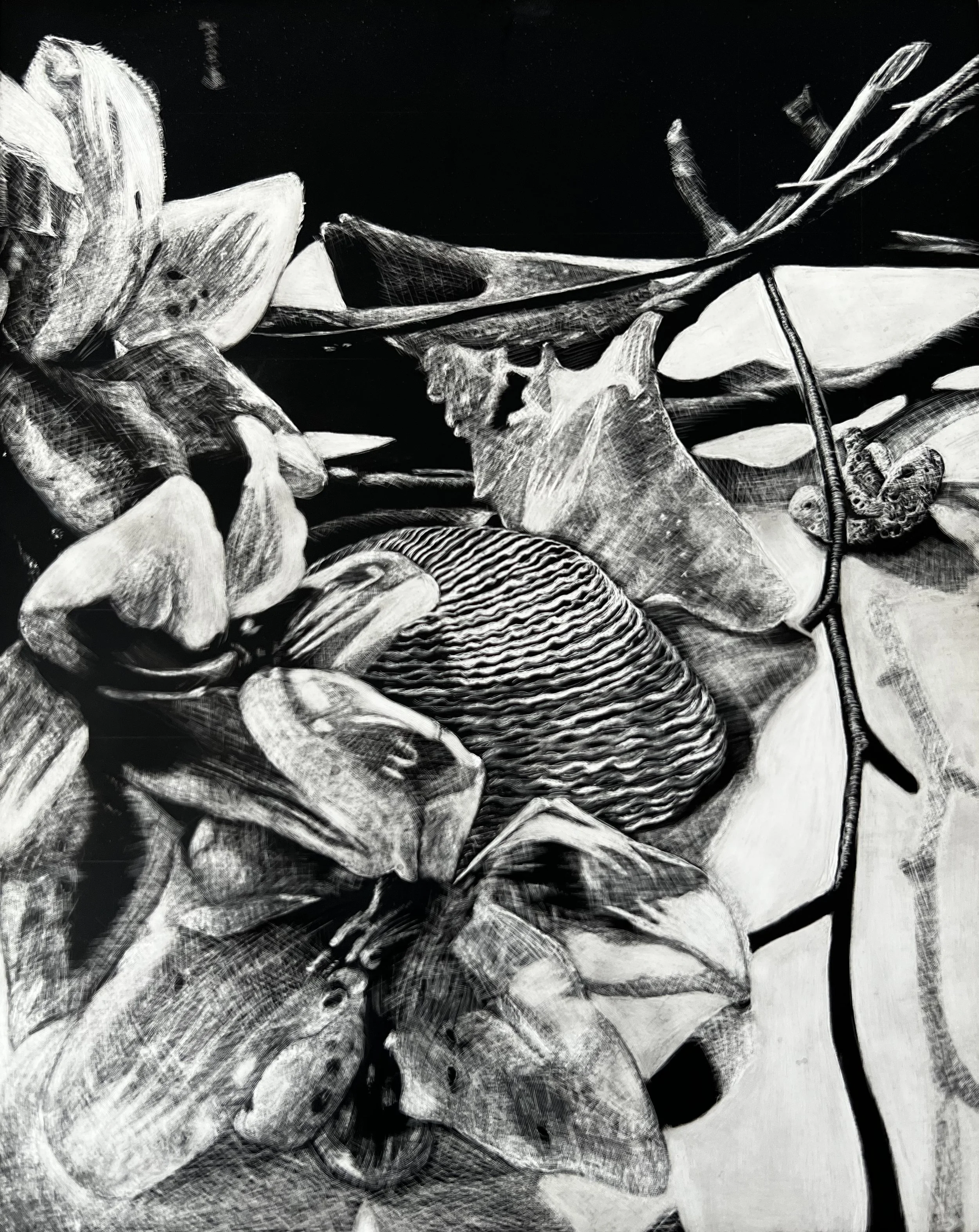 Drawing