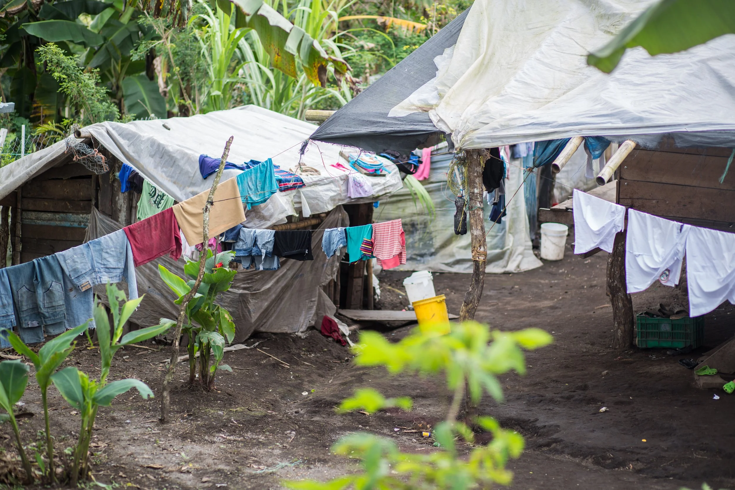 Houses with makeshift roofs made of plastic sheeting and fabric, clothes hanging on a line, in a rural area with lush green plants and banana trees.