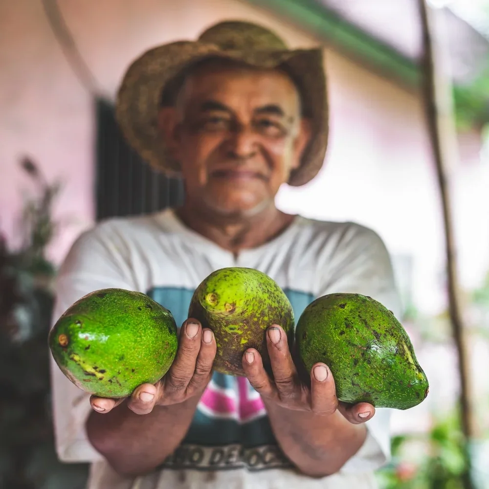 A man wearing a cowboy hat holding three green avocados towards the camera inside a room.