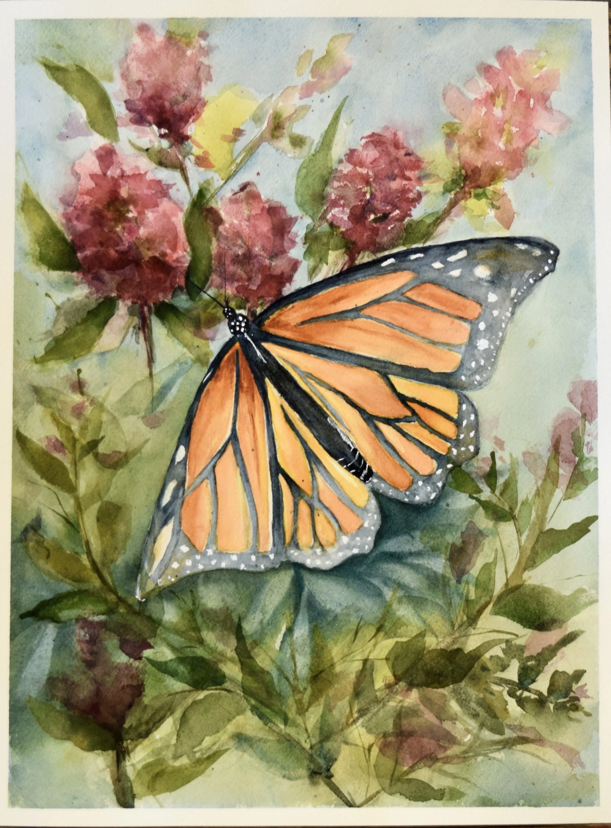 A large monarch butterfly in a flowering bush.