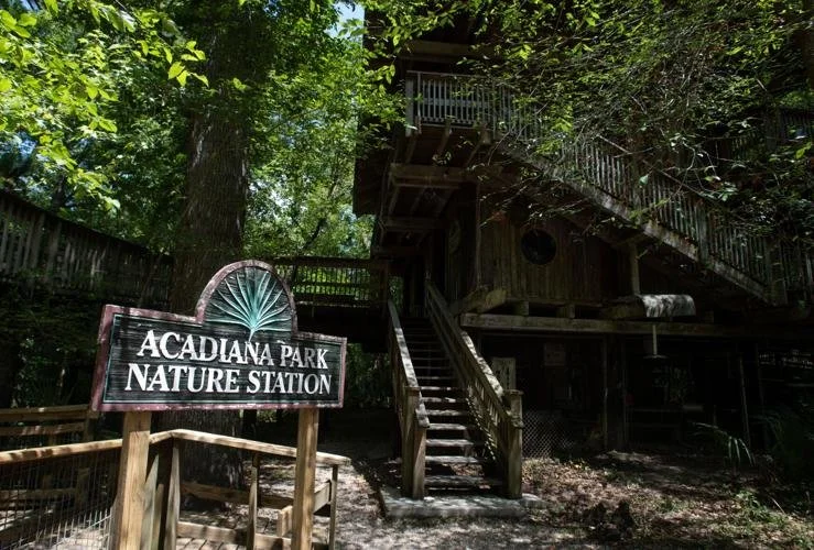 Guided Nature Walk: The Art of Listening
