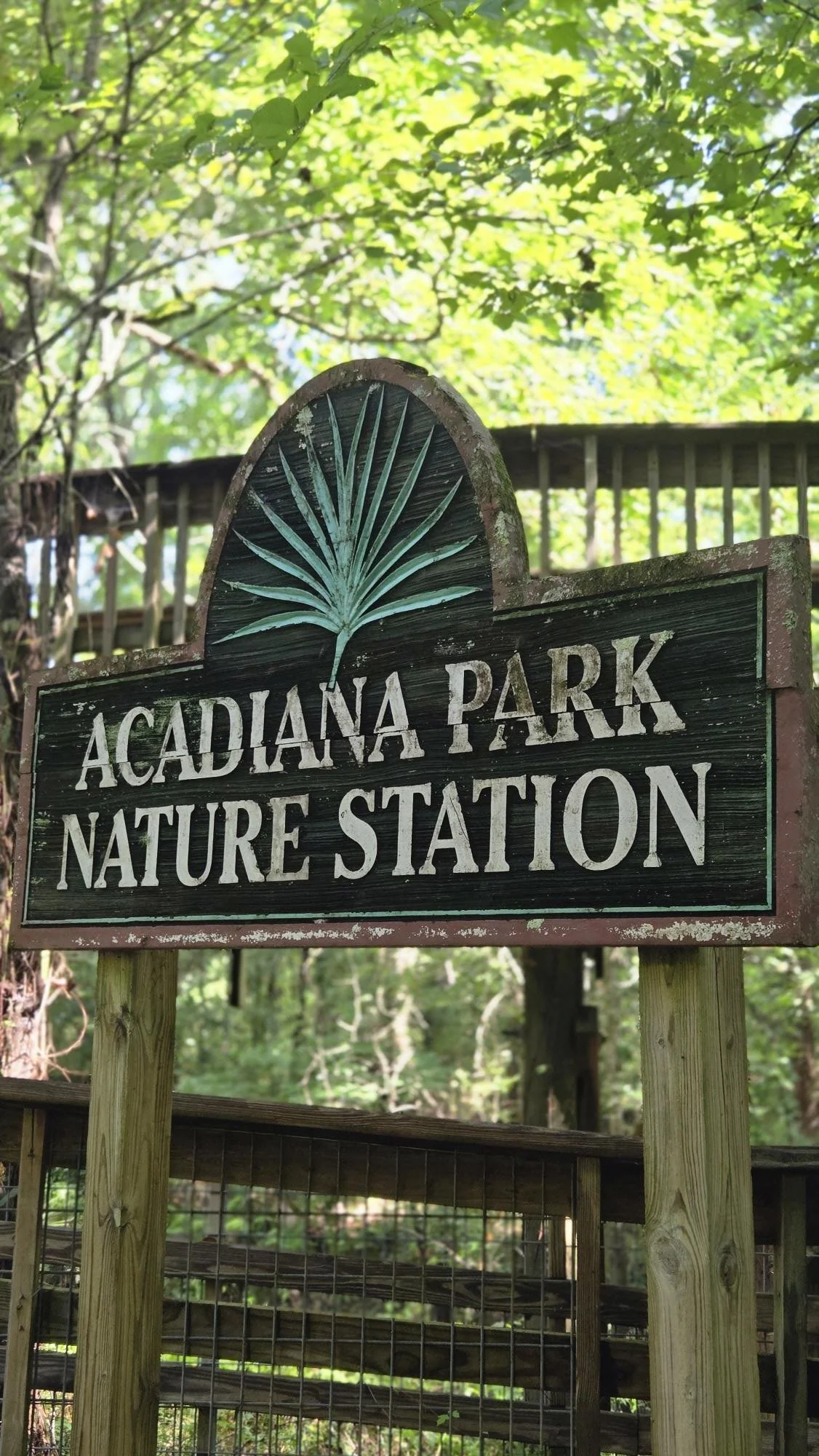 Guided Nature Walk: The Art of Noticing