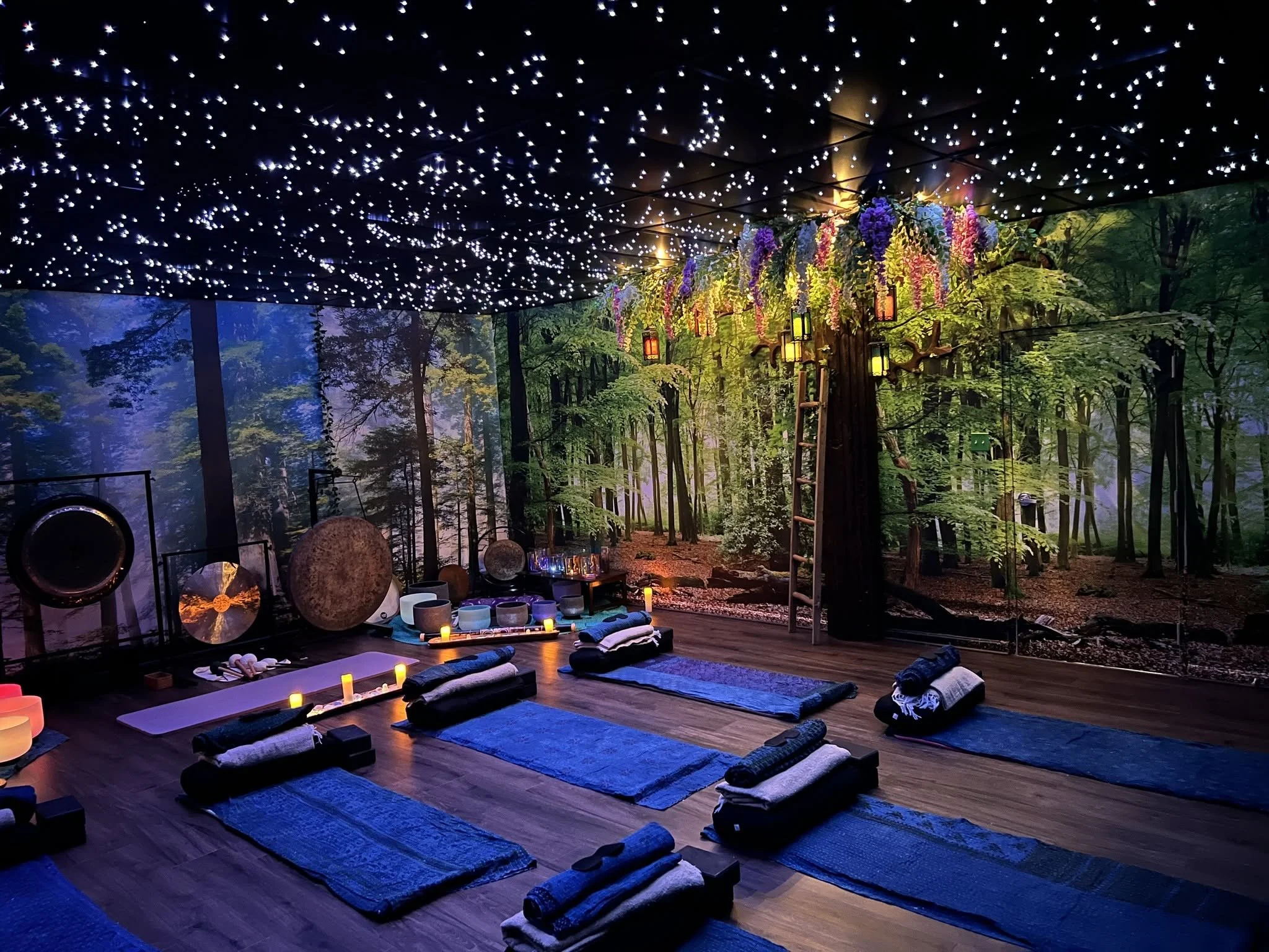 Guided Meditation:  You Are Nature