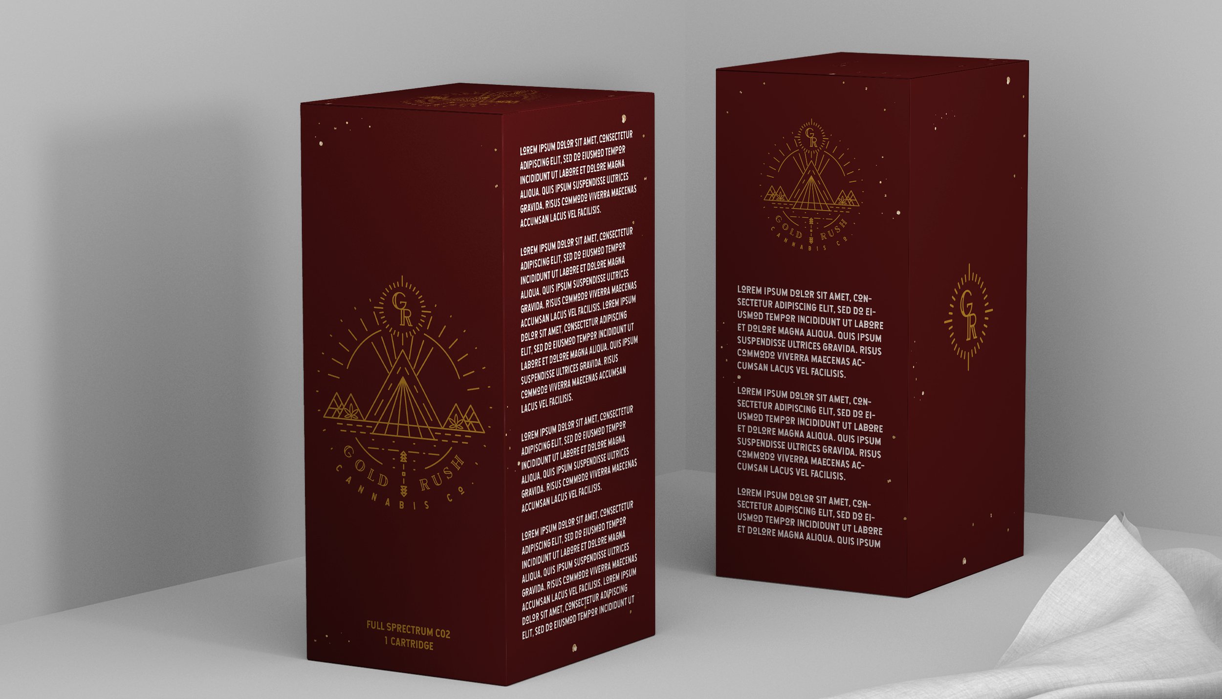 Logo 3 Tall Box.jpg