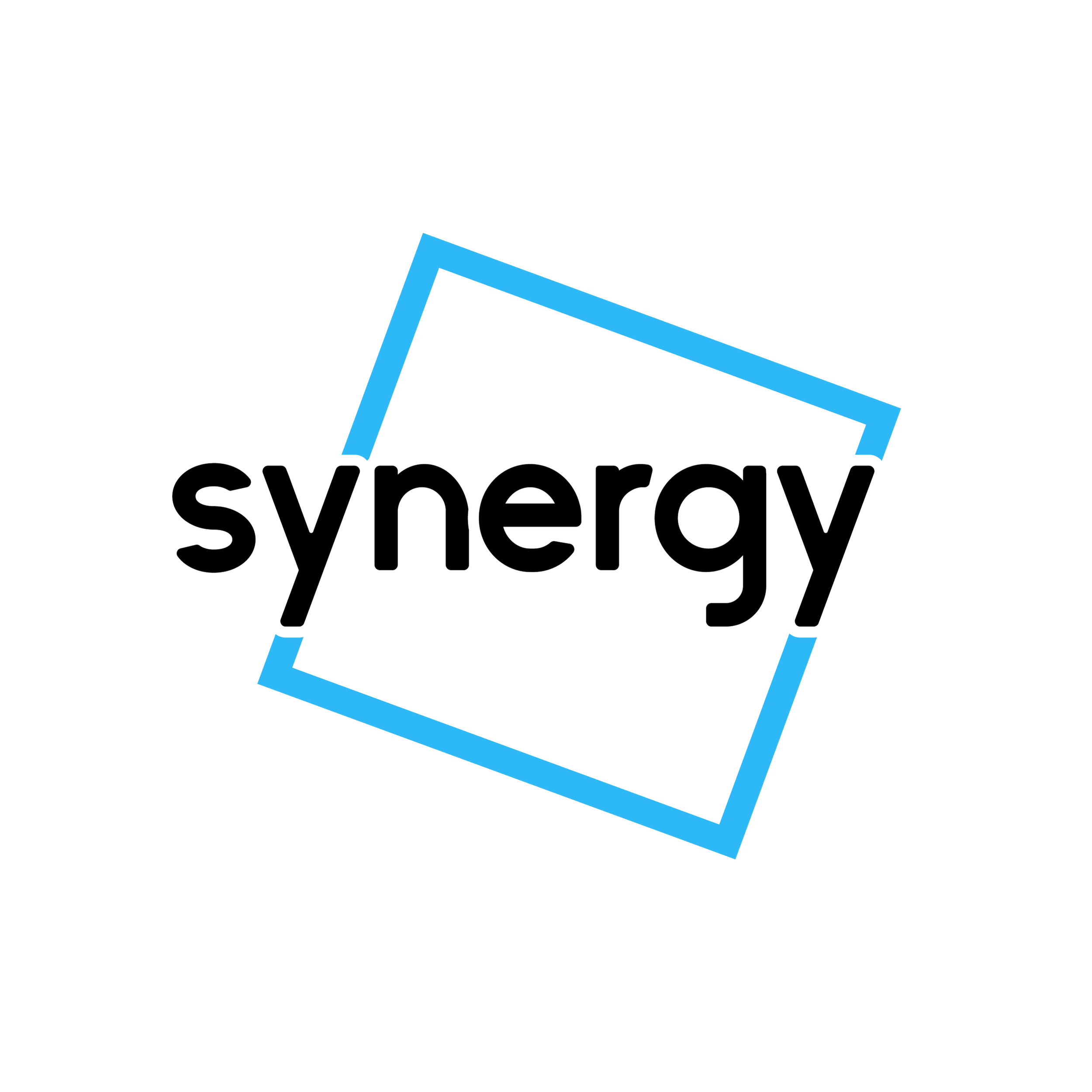 Portfolio - Branding_Synergy 2.png