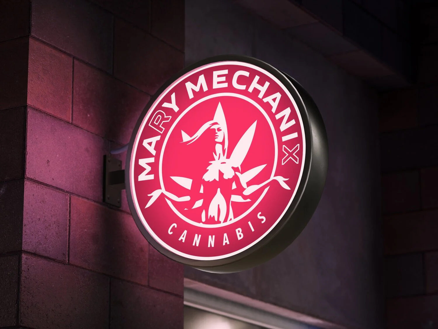 Mary Mechanix