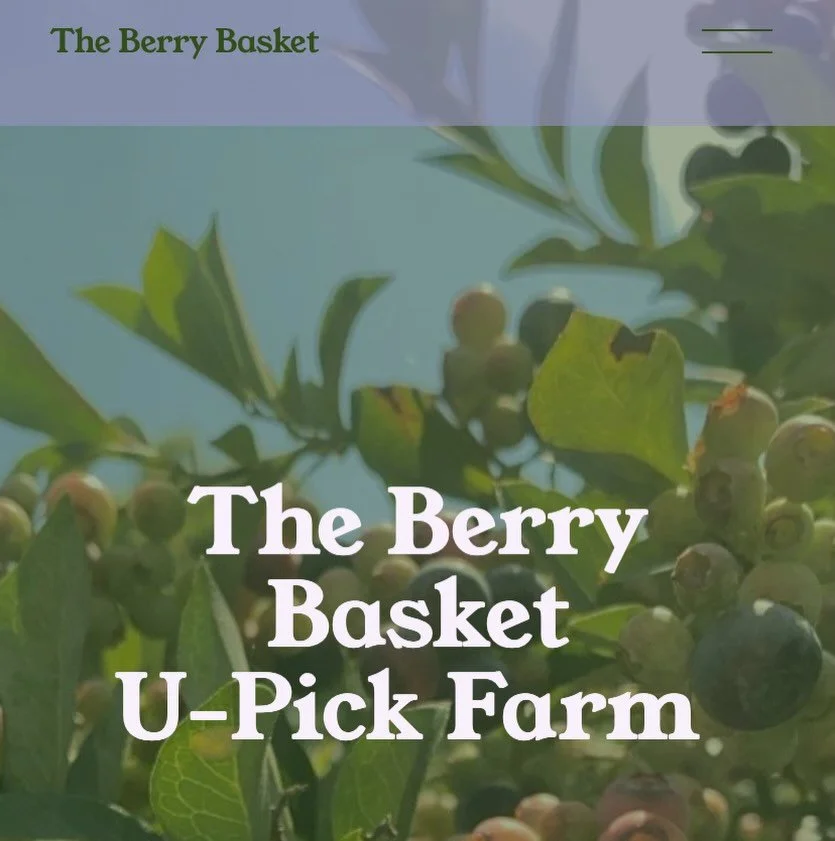 Exciting announcement!! Berry season is finally here! This  Sunday, June 28th from 8am - 6pm The Berry Basket will be having our soft opening! + PLUS + check out our brand new website! www.berrybasketupick.com ~ click the link on our main page to see