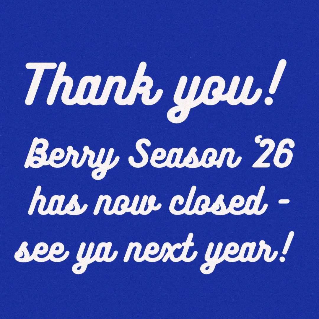 Thanks so much to all the lovely visitors we had at The Berry Basket this year! It was such a whirlwind of activity that I barely had time to catch my breath - much less post! I am always working on adding new offerings to our small farm so stay tune