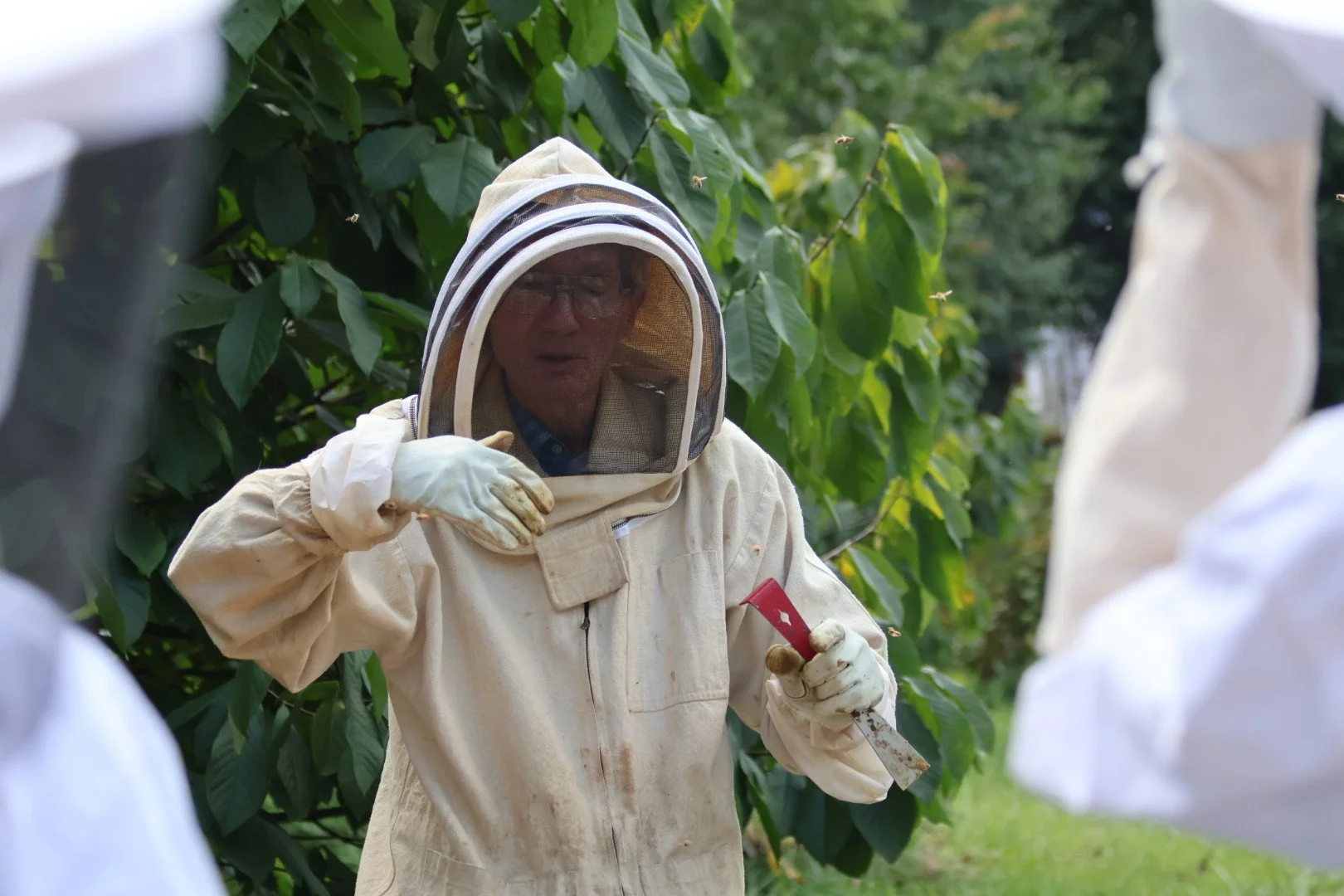 A beekeeper in protective gear holding a hive tool, standing among green trees, speaking and instructing others in an outdoor apiary.