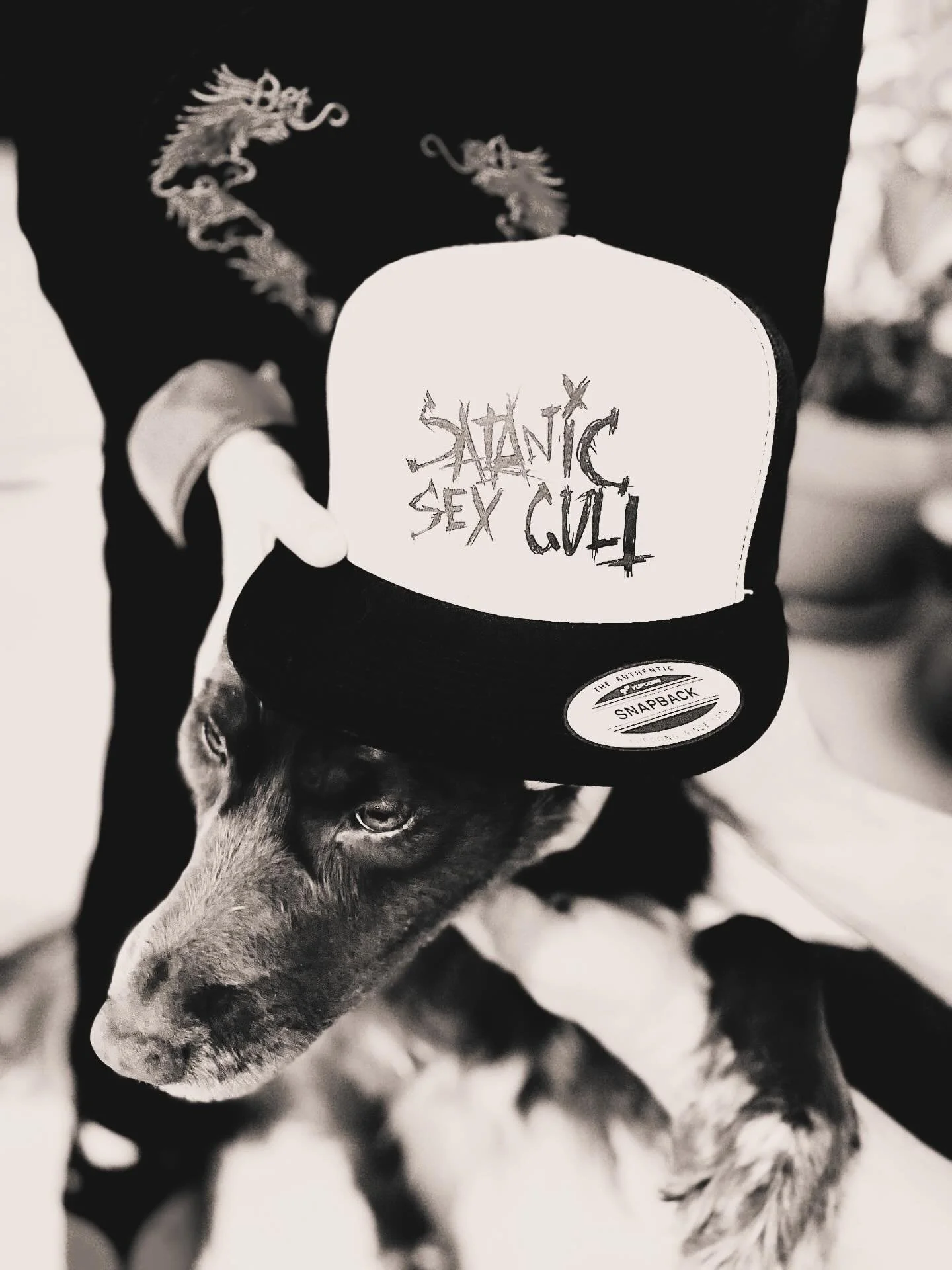 SSC Hat