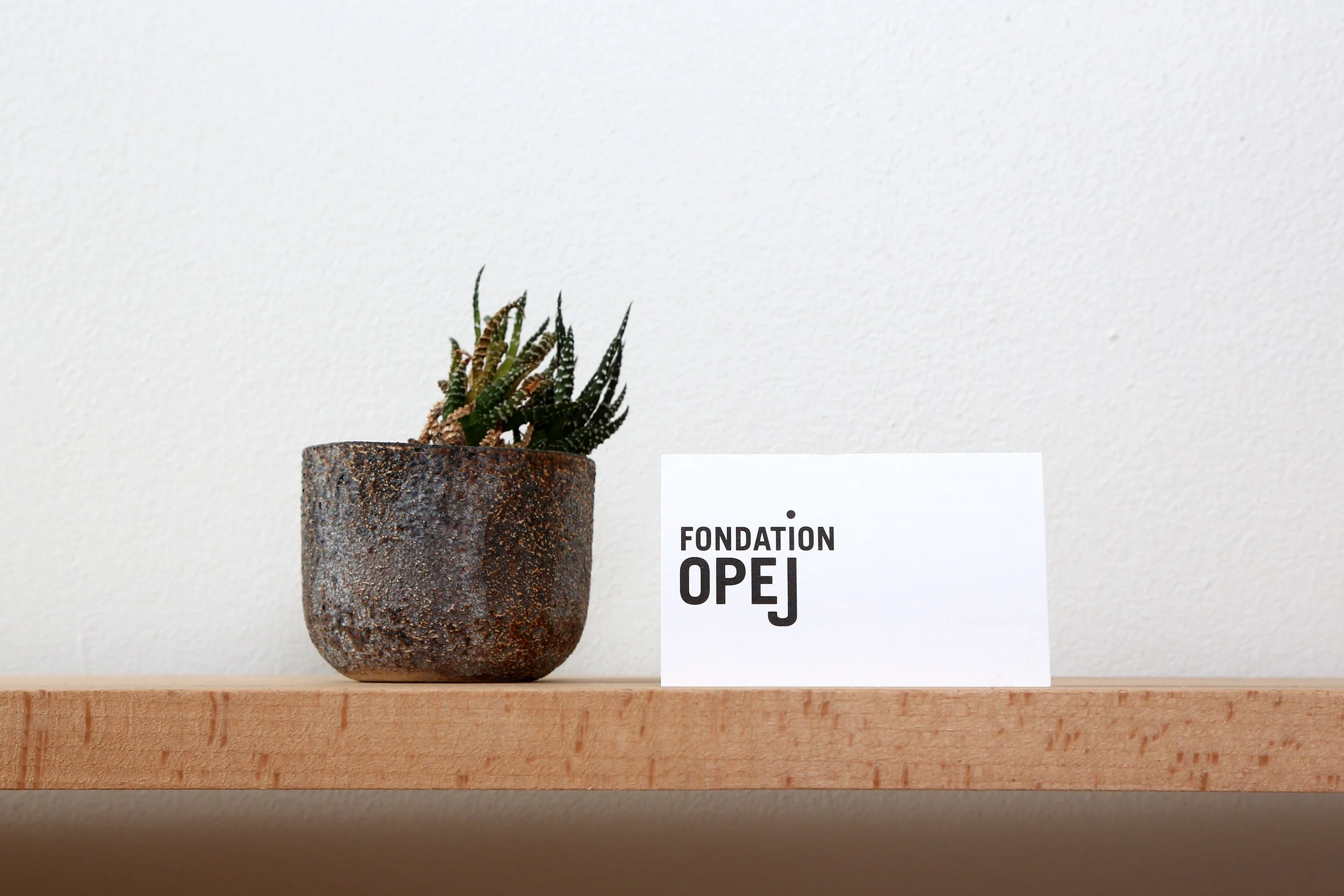 FONDATION OPEJ — IDENTITÉ VISUELLE