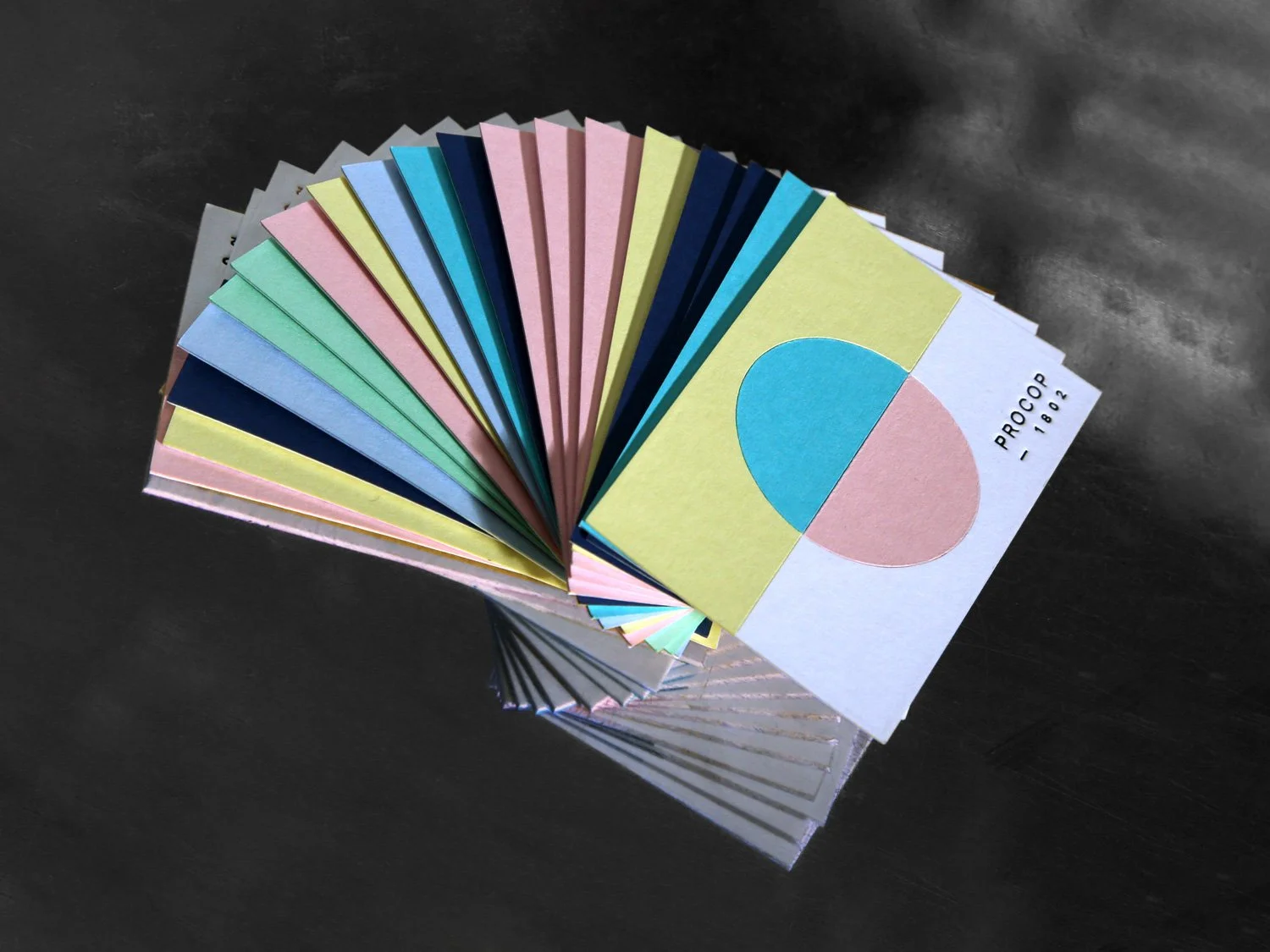 PROCOP_CARTES_2_2023.jpg