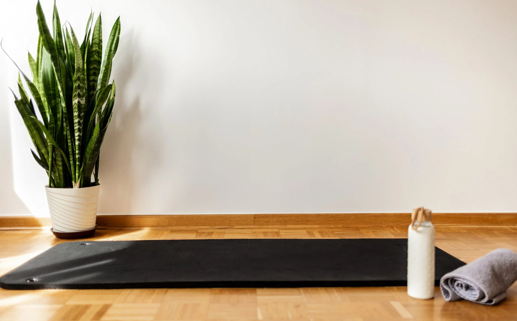 Indoor space with a large potted snake plant near a white wall, black yoga mat on wooden floor, and a rolled gray towel and white bottle at the edge of the mat.