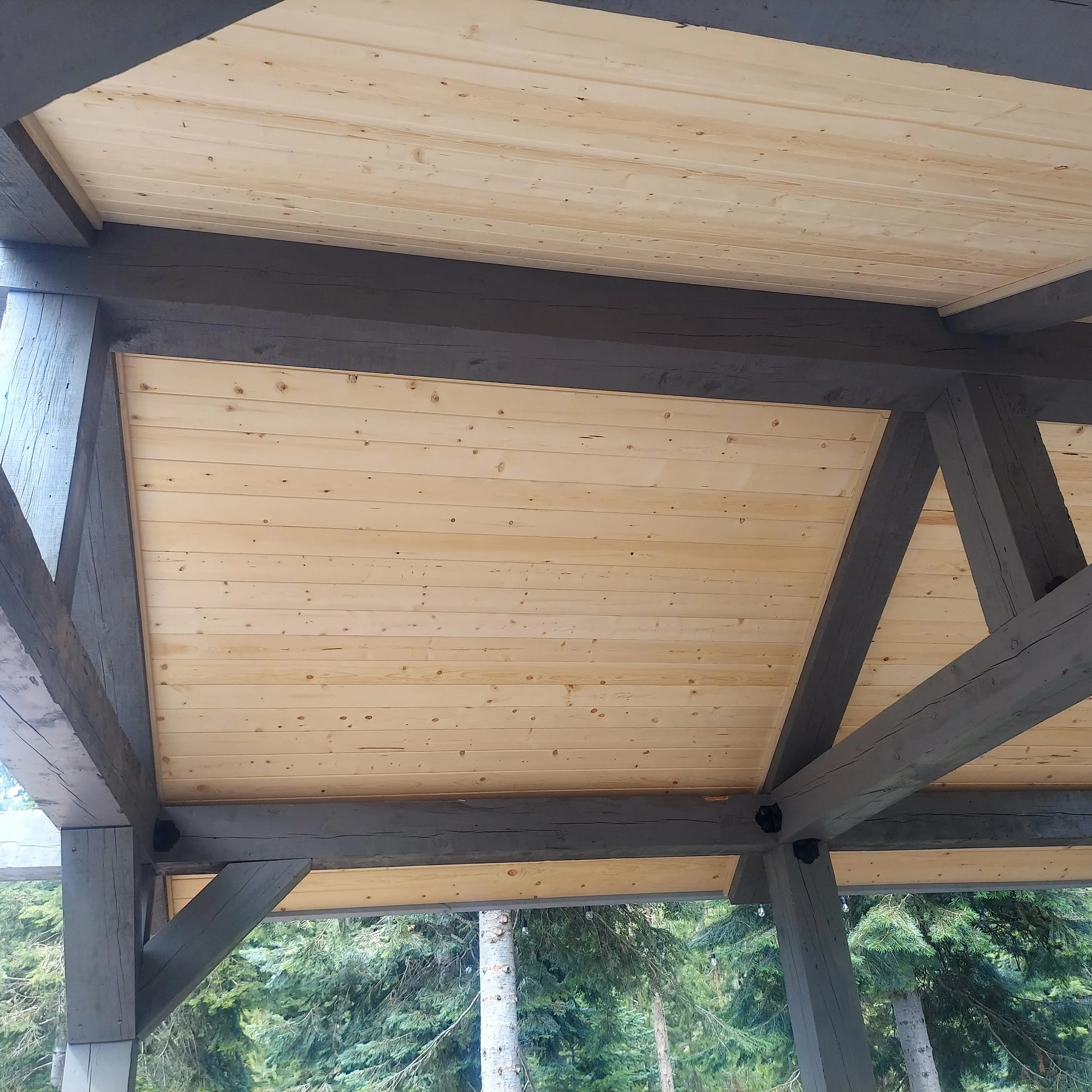 Outdoor Living Ceiling.jpg
