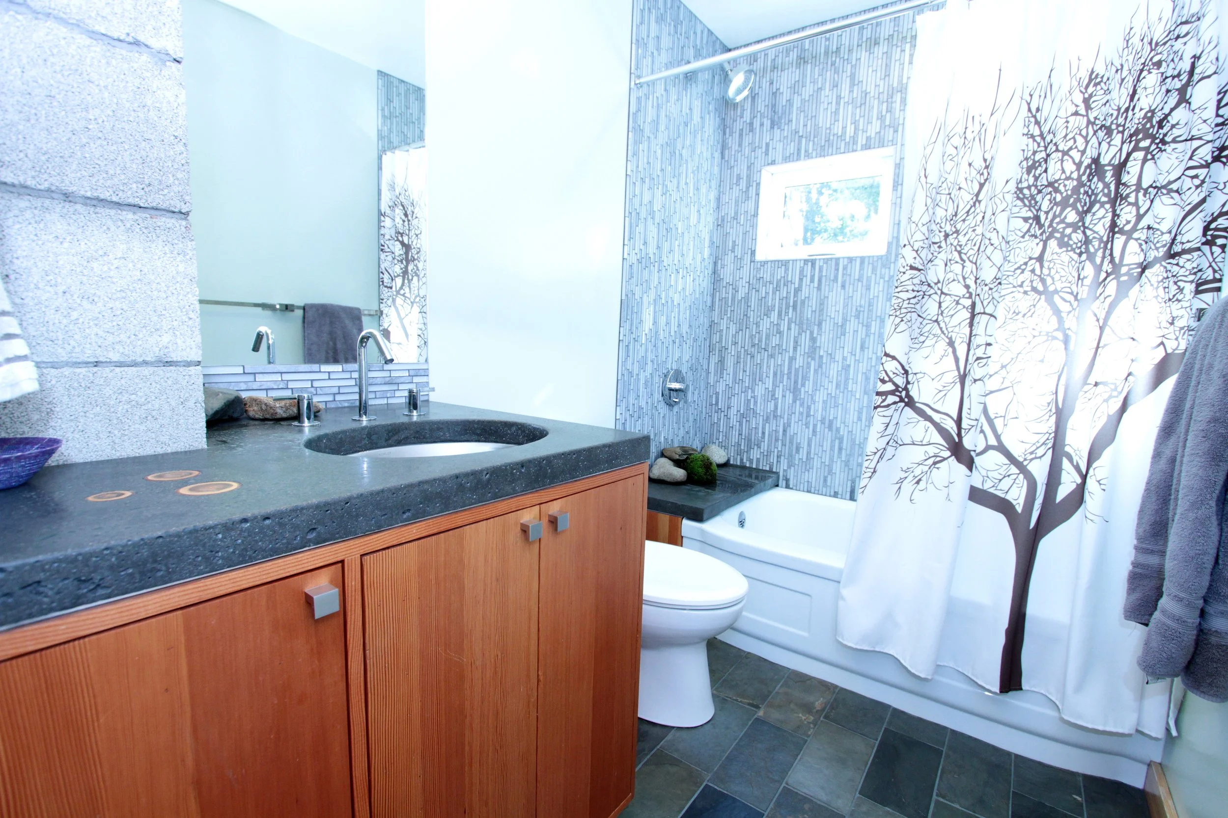 11 WS Addition Bath.JPG